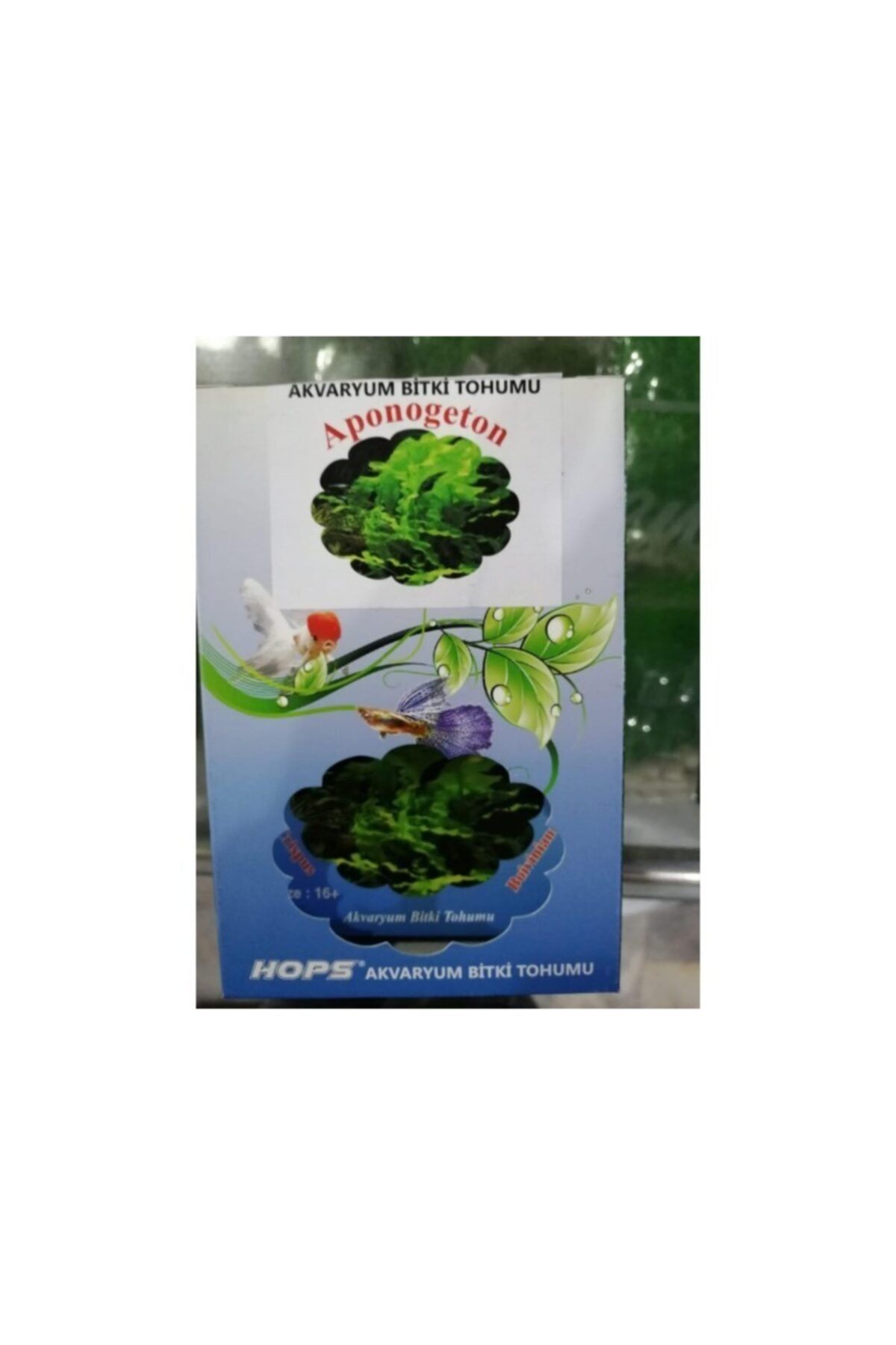 TROPİKAL Hops Canlı Bitki Tohumu Aponogeton