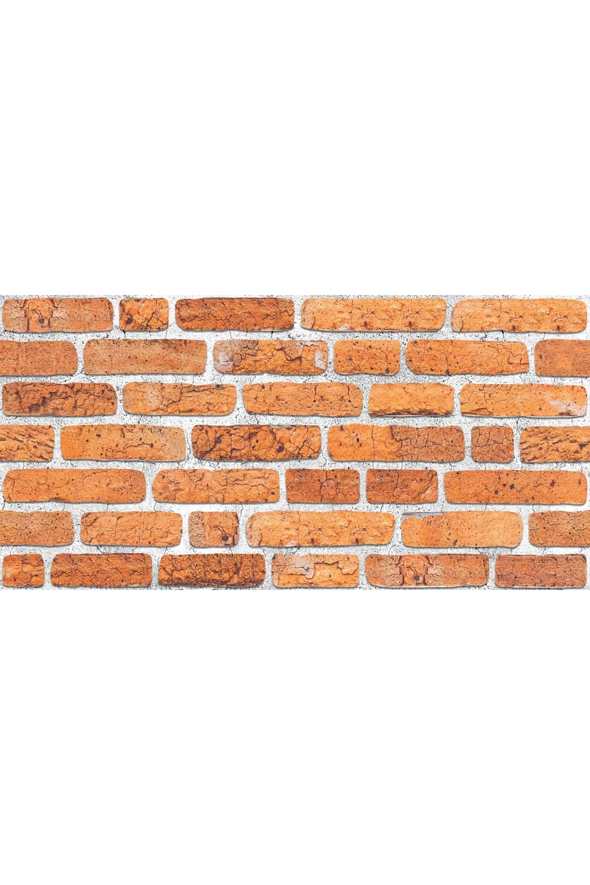 THERMOSİDİNG 3d Barok Desen Strafor Köpük Duvar Kaplama Paneli 10 Adet (B011) (50X100X2CM)