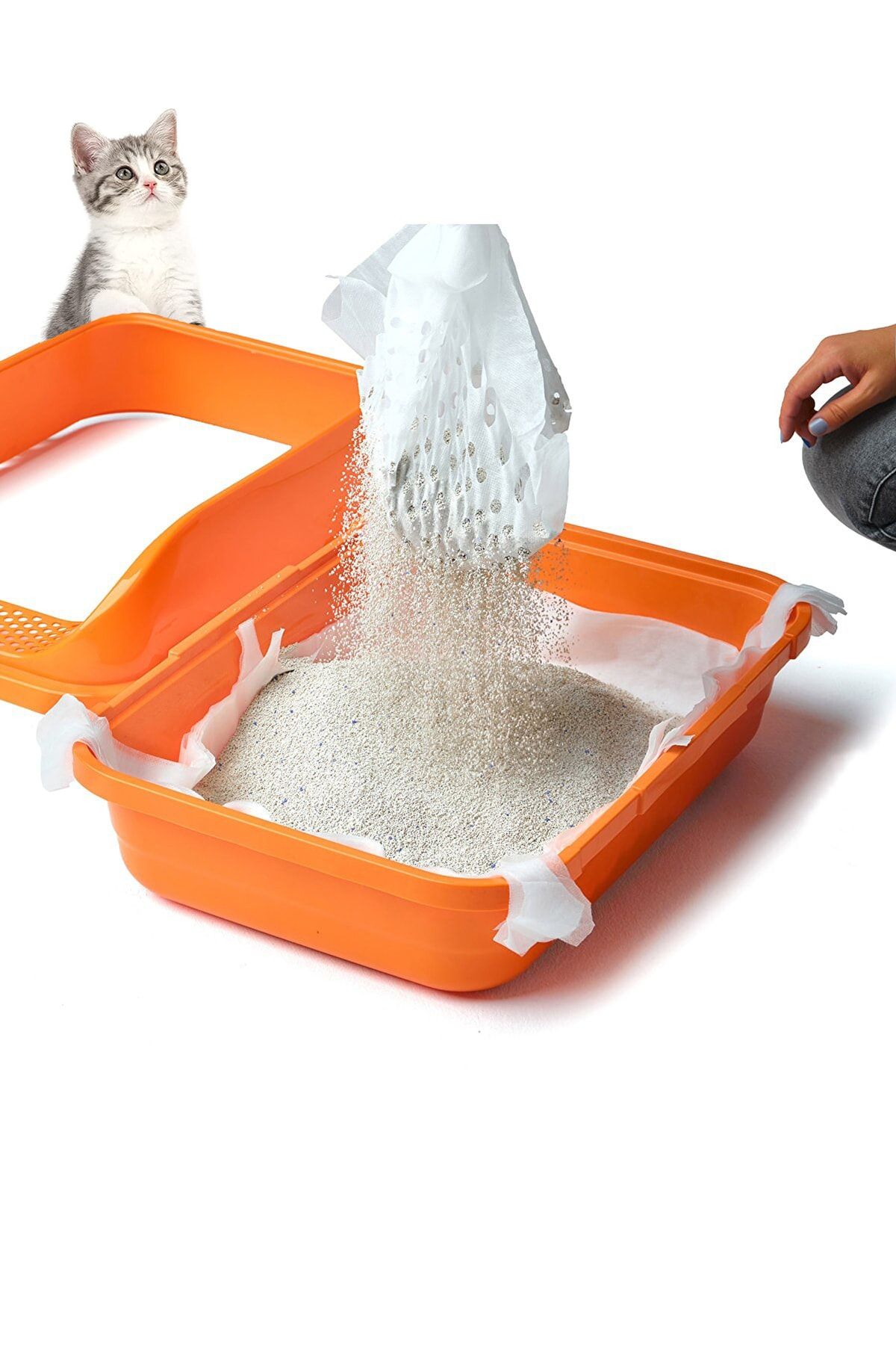 Cat store litter screen