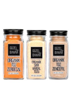 Organik Baharat Seti 3'lü Image 0