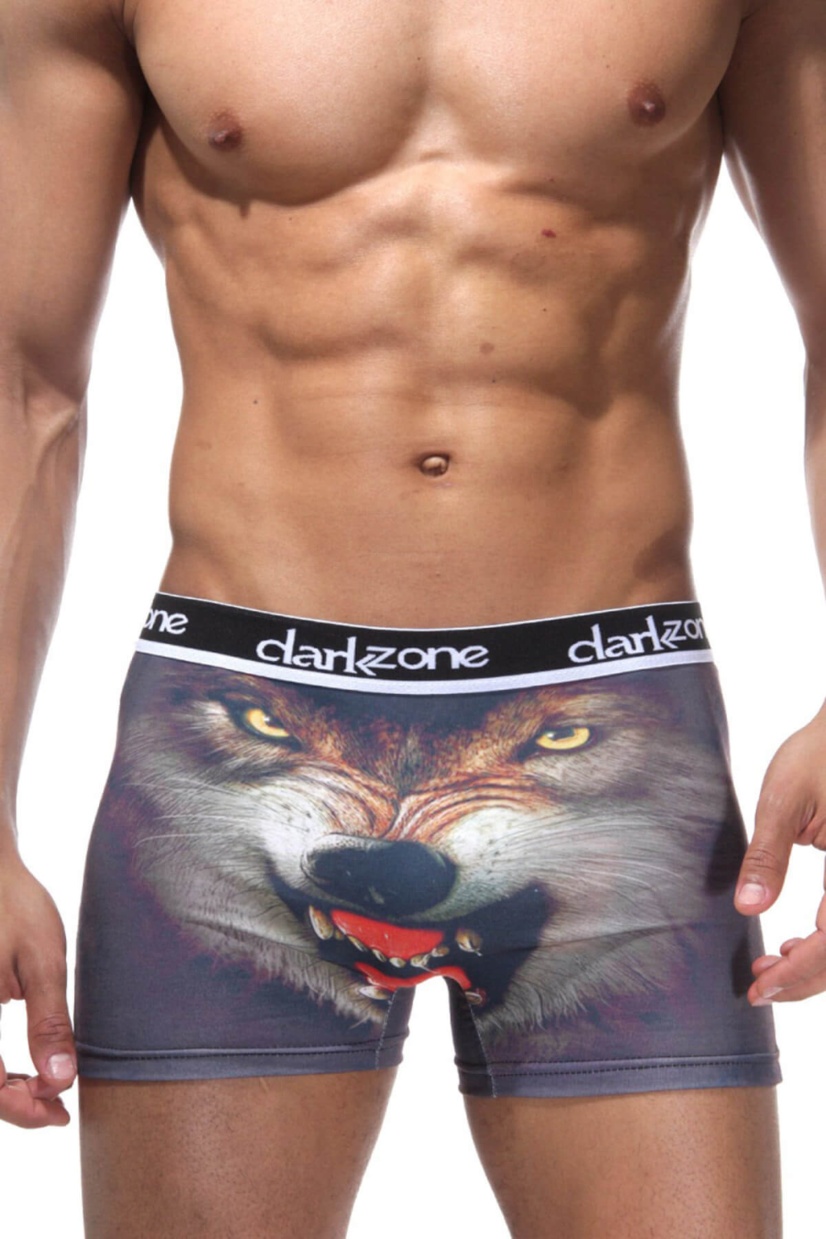 Darkzone Kurt Desenli 3d Erkek Boxer