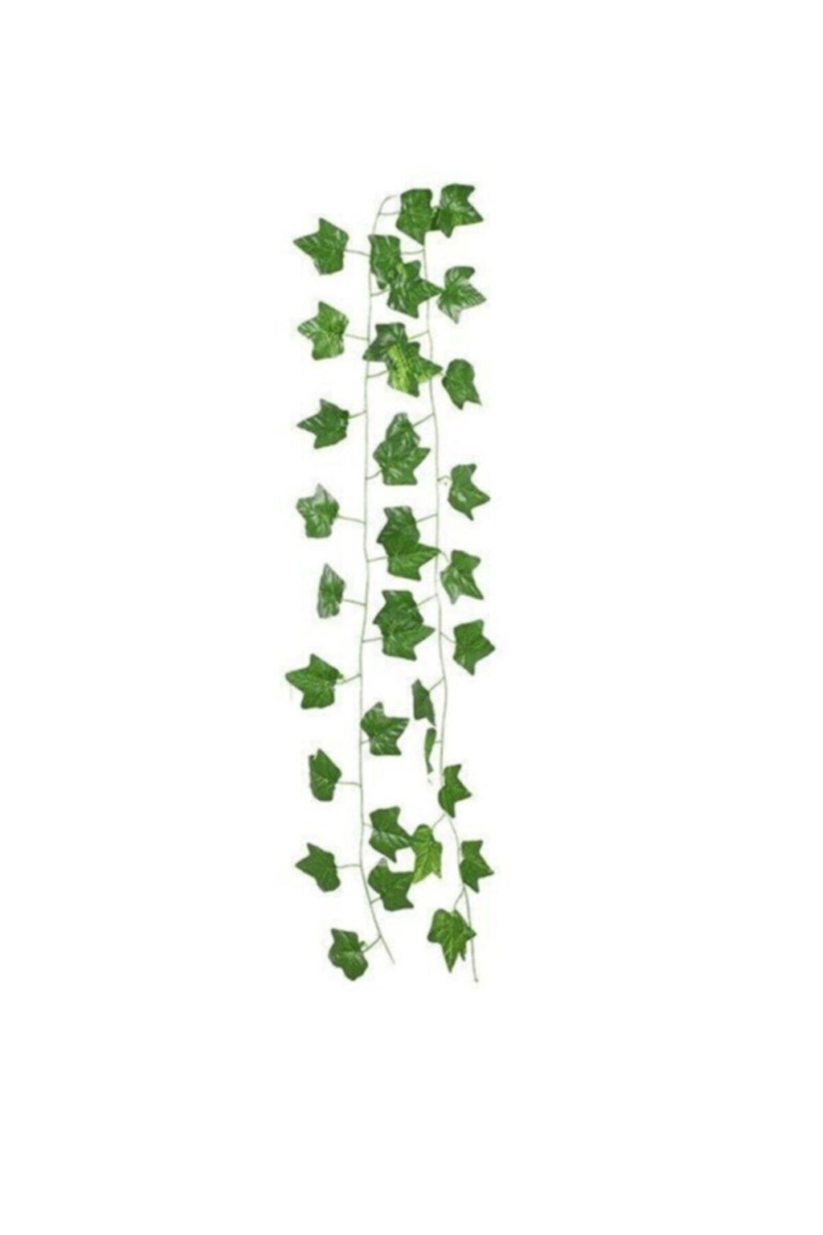 Partifabrik Sarmaşık Yaprak 2 Metre