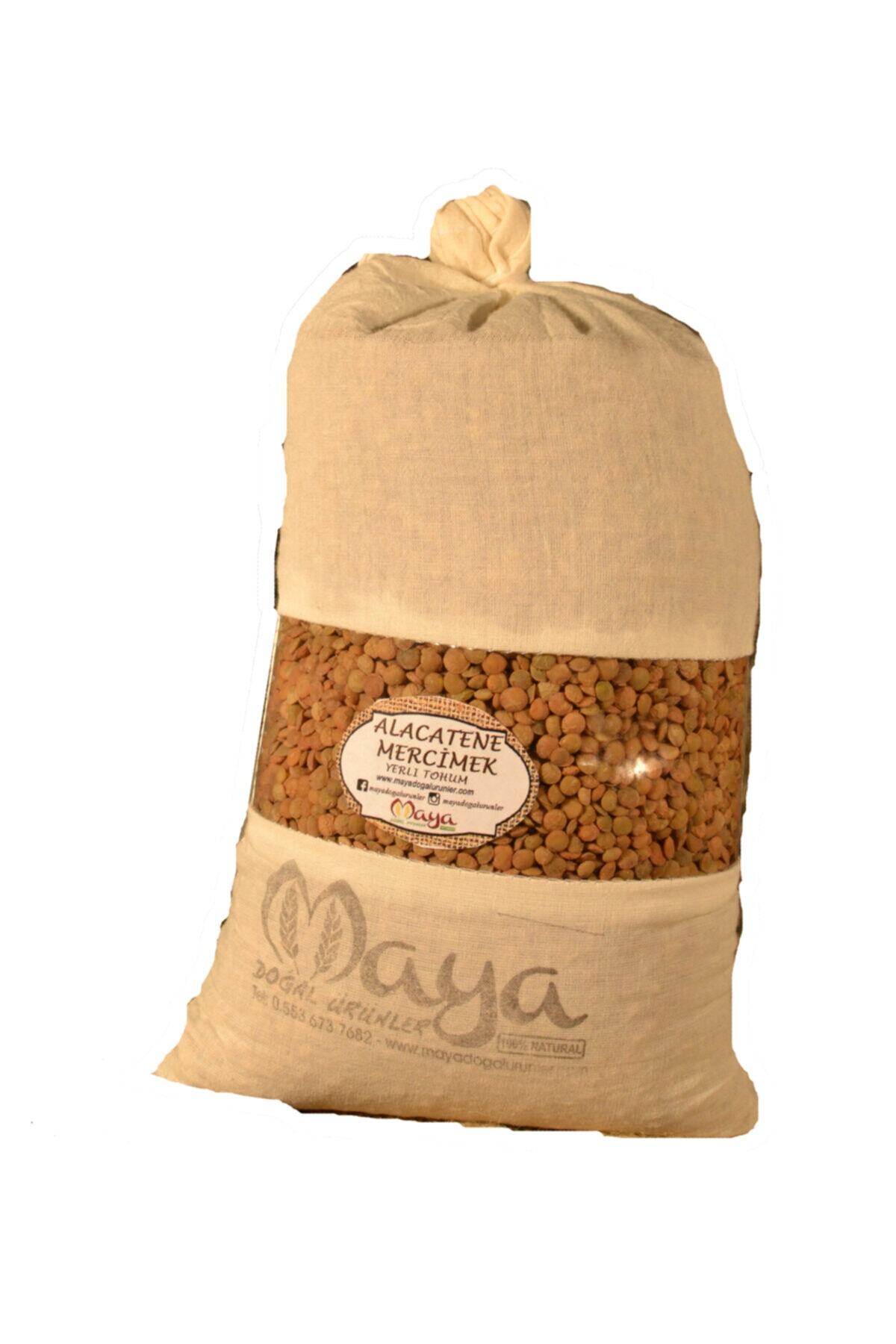 MAYA DOĞAL ÜRÜNLER Yeşil Mercimek 1000gr
