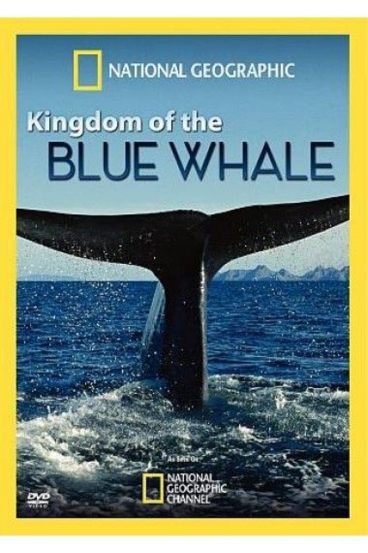 NATIONAL GEOGRAPHIC Dvd - National Geographic / Mavi Balina Krallığı
