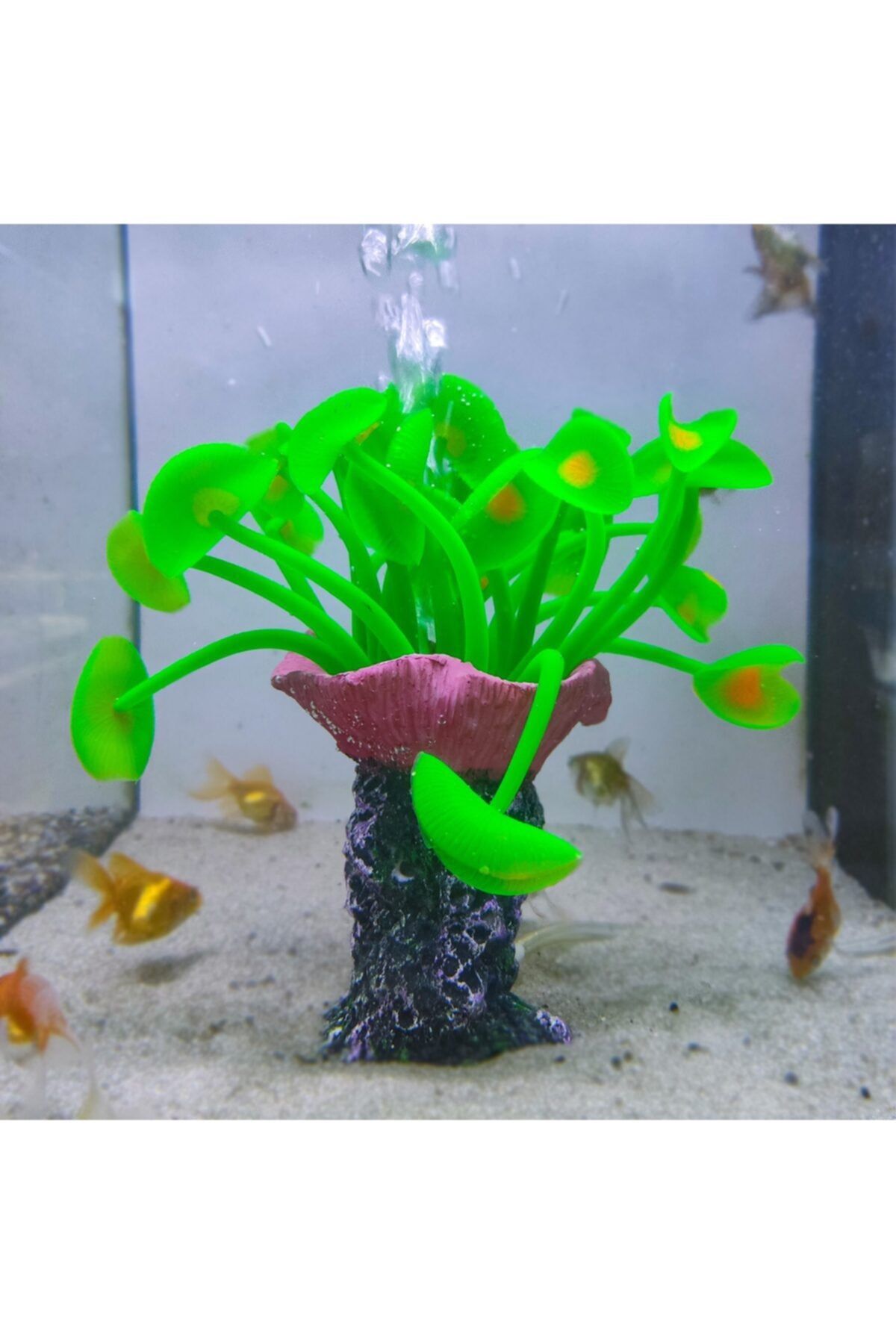 Aquaplant Tls Sh596 Akvaryum Aksesuarı Hava Taşlı Silikon 17 Cm