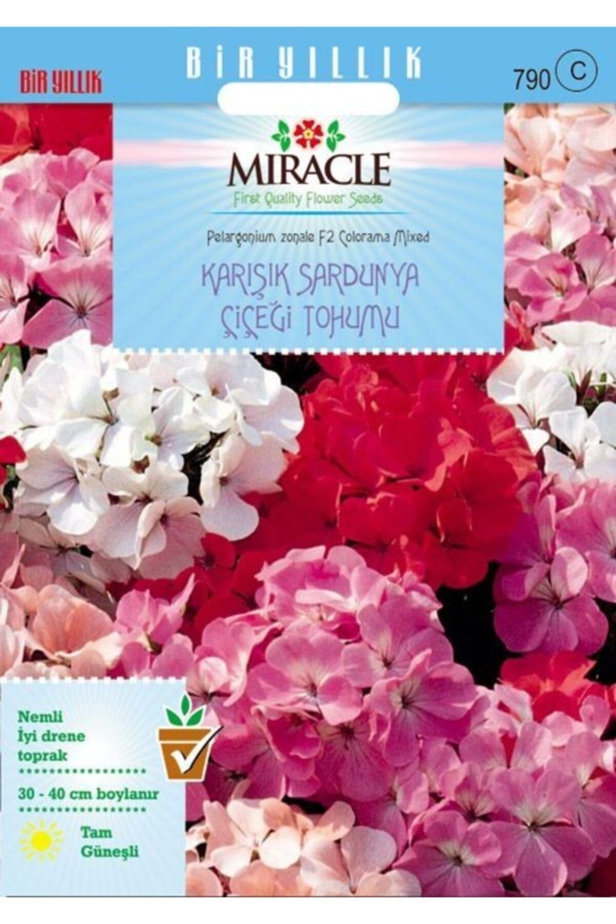 fidanciyiz Colorama Karışık Renkli Hibrit Sardunya Çiçeği Tohumu (24 Tohum)