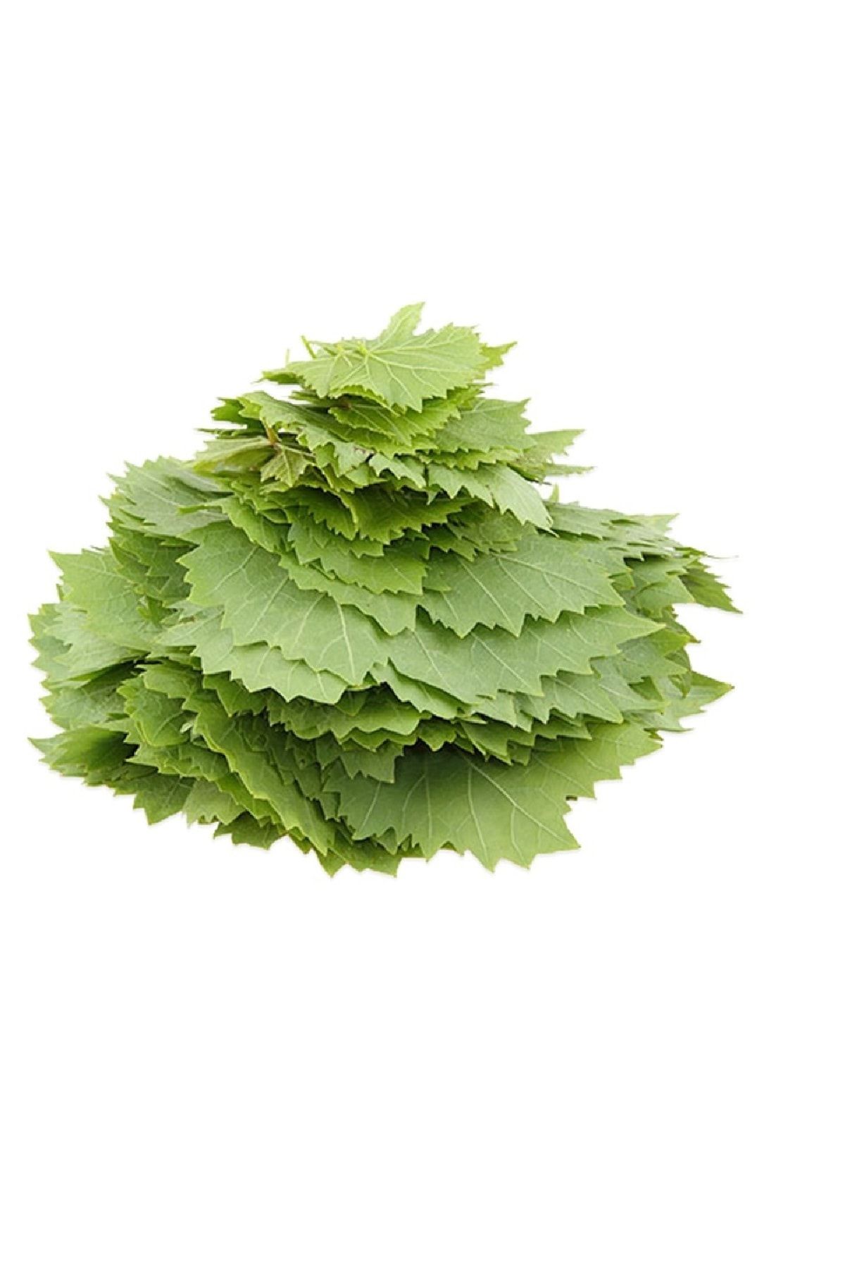 iste gelsin Yaprak Salamura 500 gr