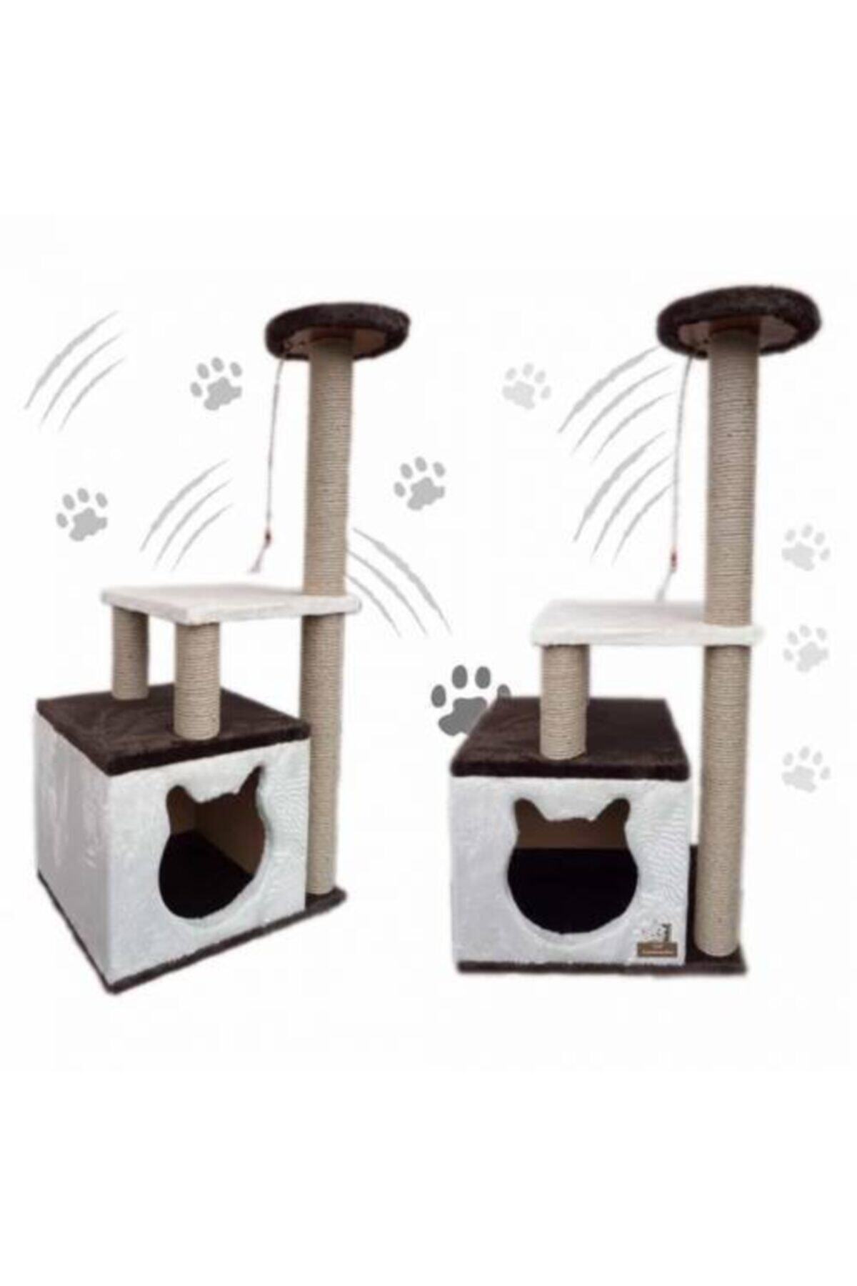 hitteknoloji Kahverengi Küp Kedi Evi ve Kedi Tırmalama Alanı