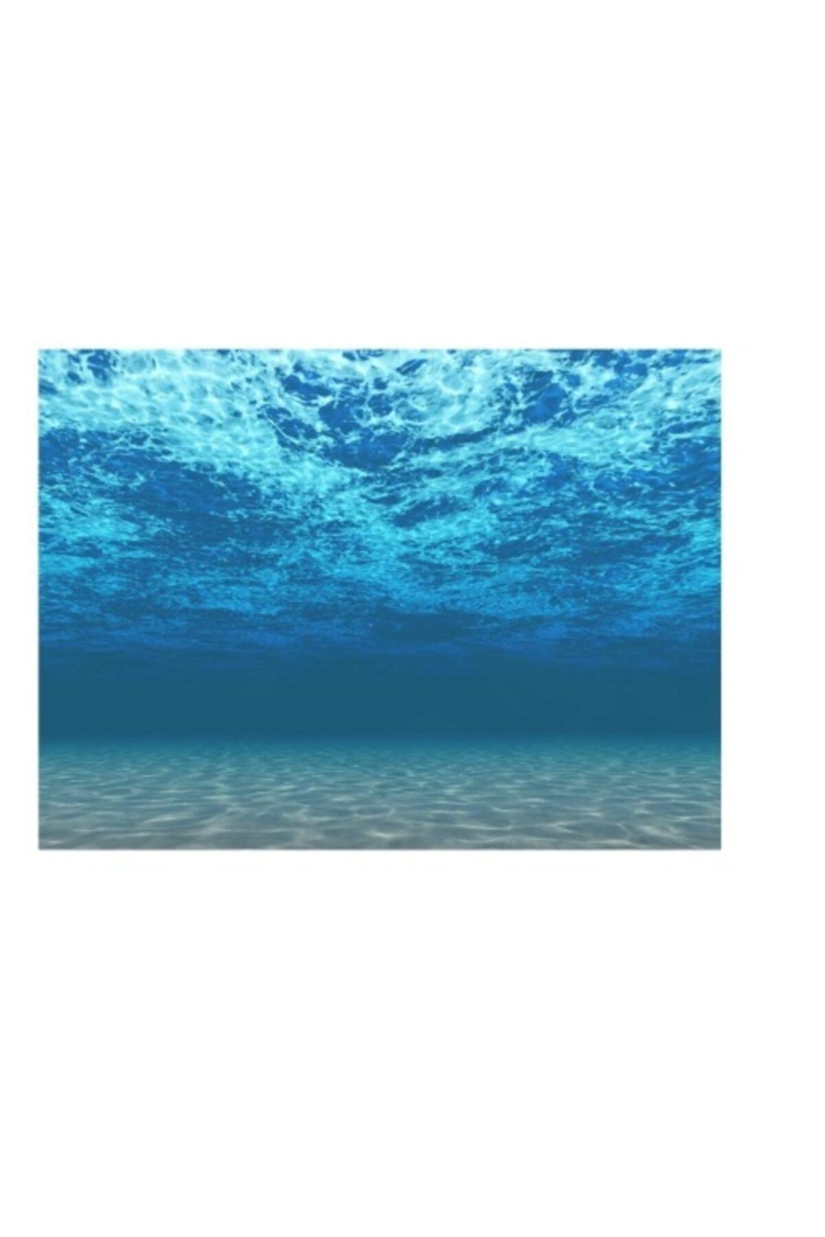 Kanki Pet 55 Cm Akvaryum Arka Fon Yapıştırma Kp554008 ( 55x40 Cm)