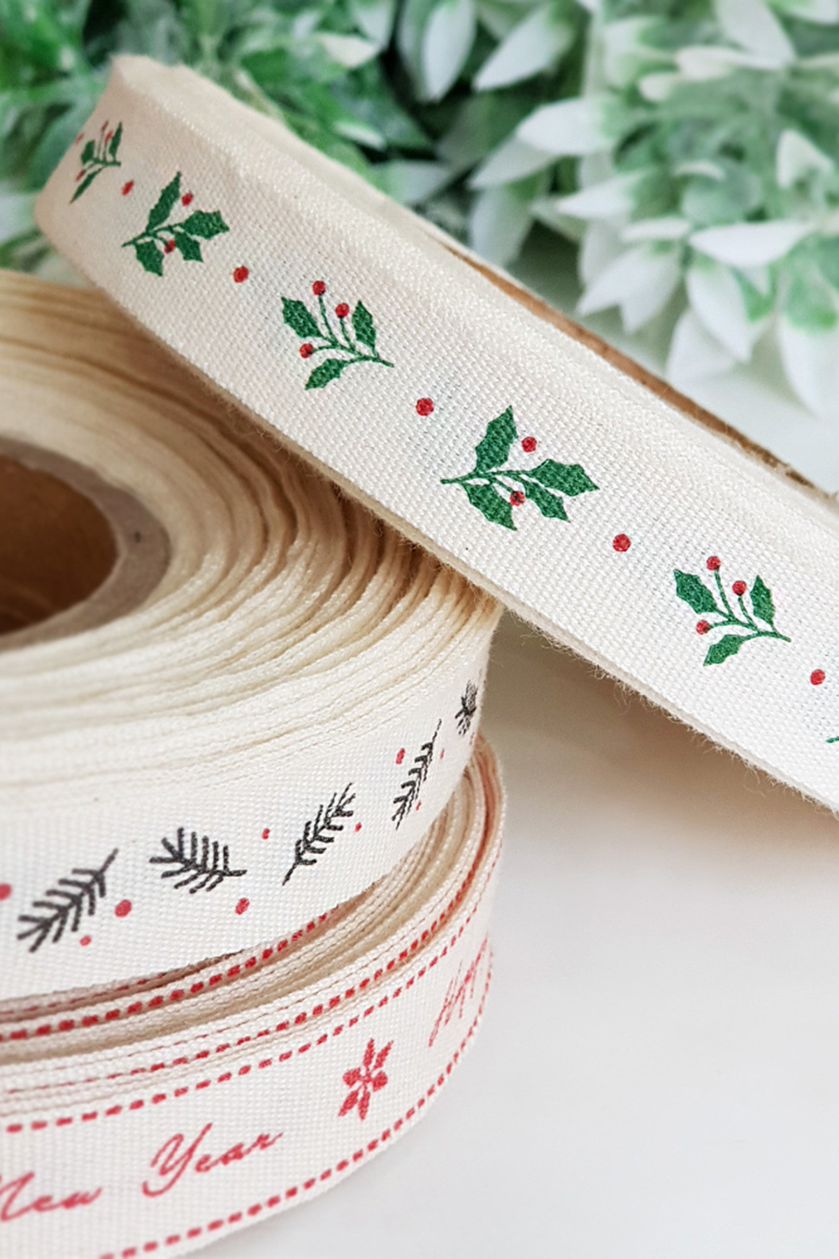 Funbou Pamuk şerit, holly