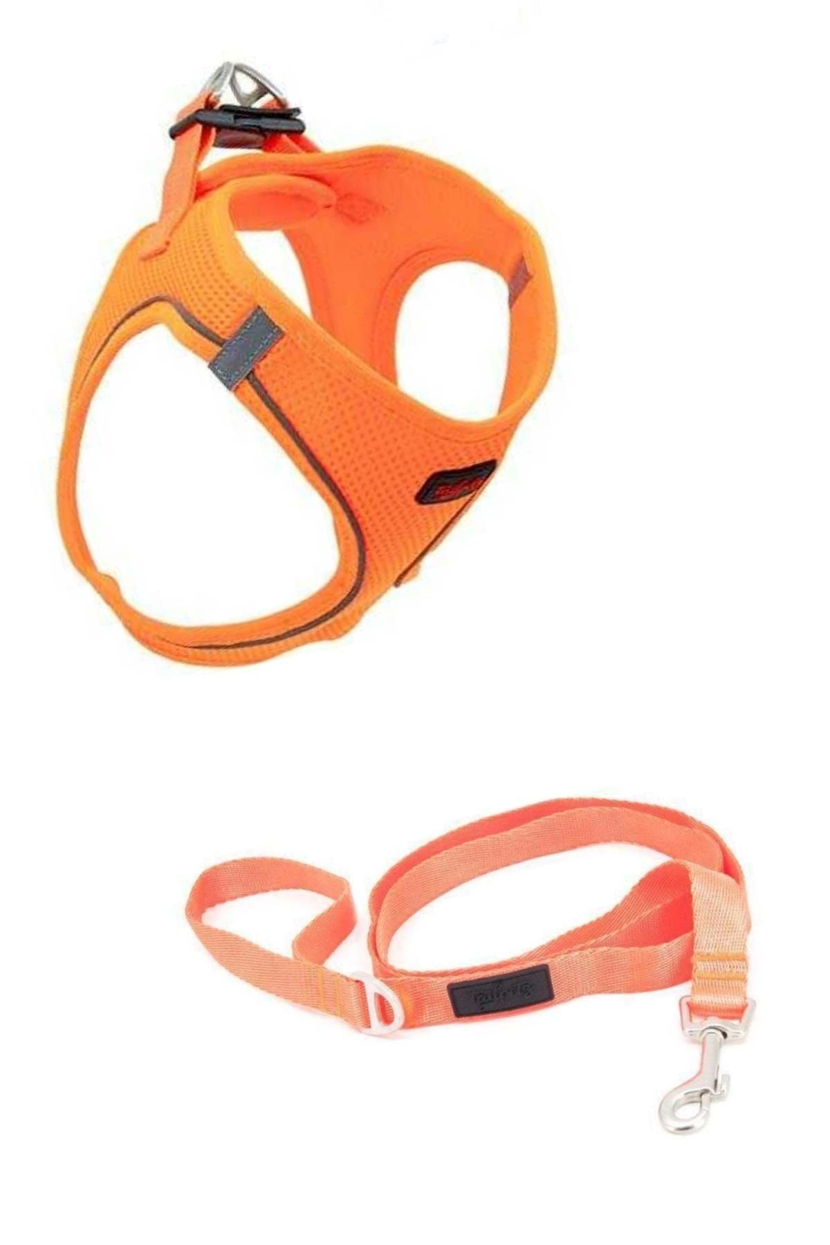 Tailpetz Göğüstasması Ve Sevk Kayışı Takım Neon Turuncu Xsmall