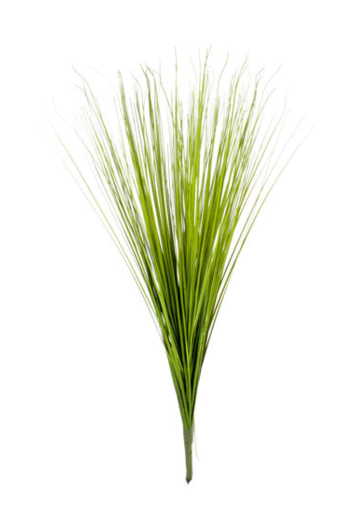 Euro Flora Yeşil Yapay Saz Bitkisi 64 cm