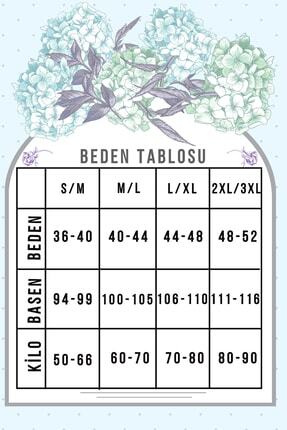 1008 Yüksek Bel Düz Kadın Slip Külot Image 1