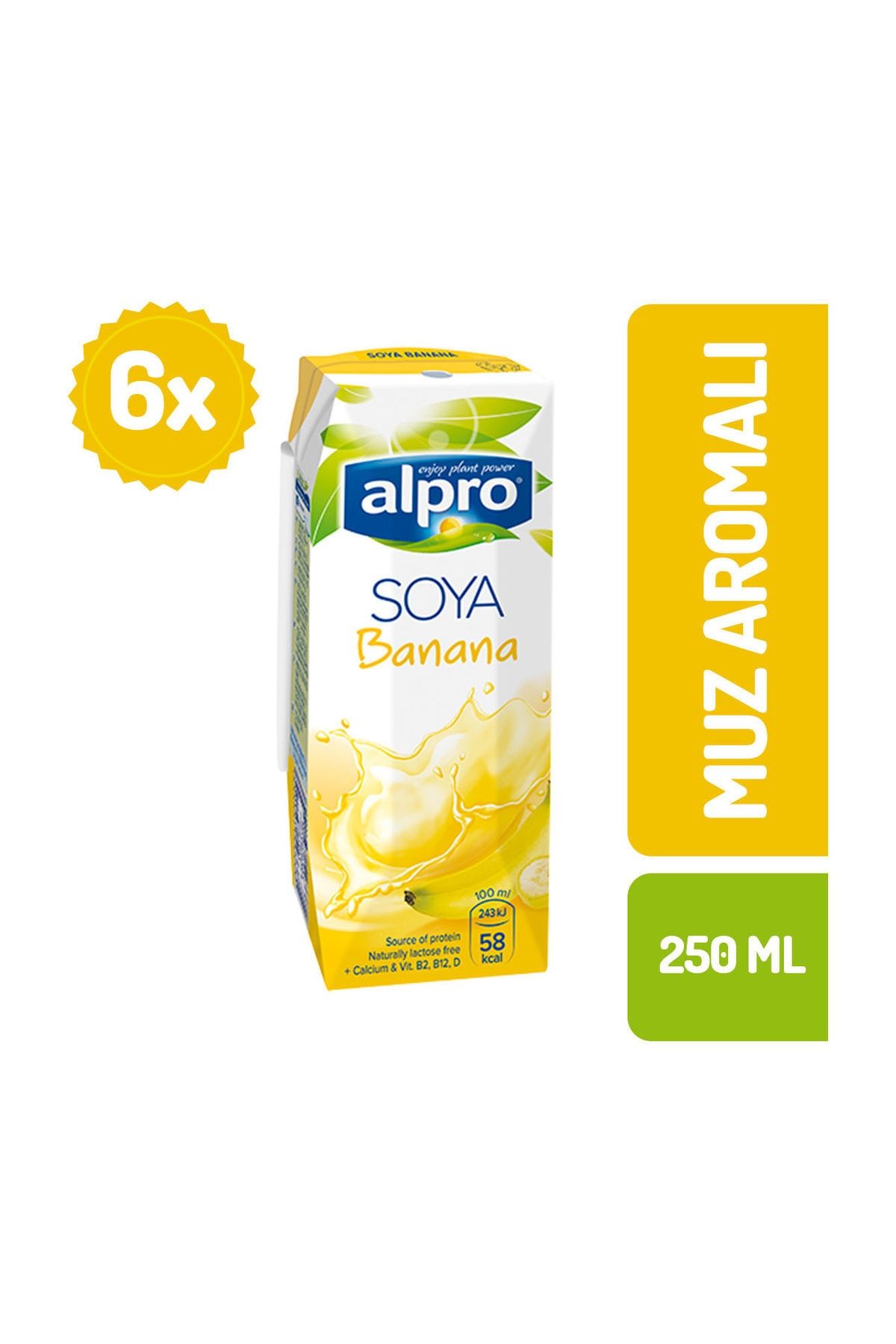 Alpro Muzlu Soya Sütü - 250 ml x 6 Adet