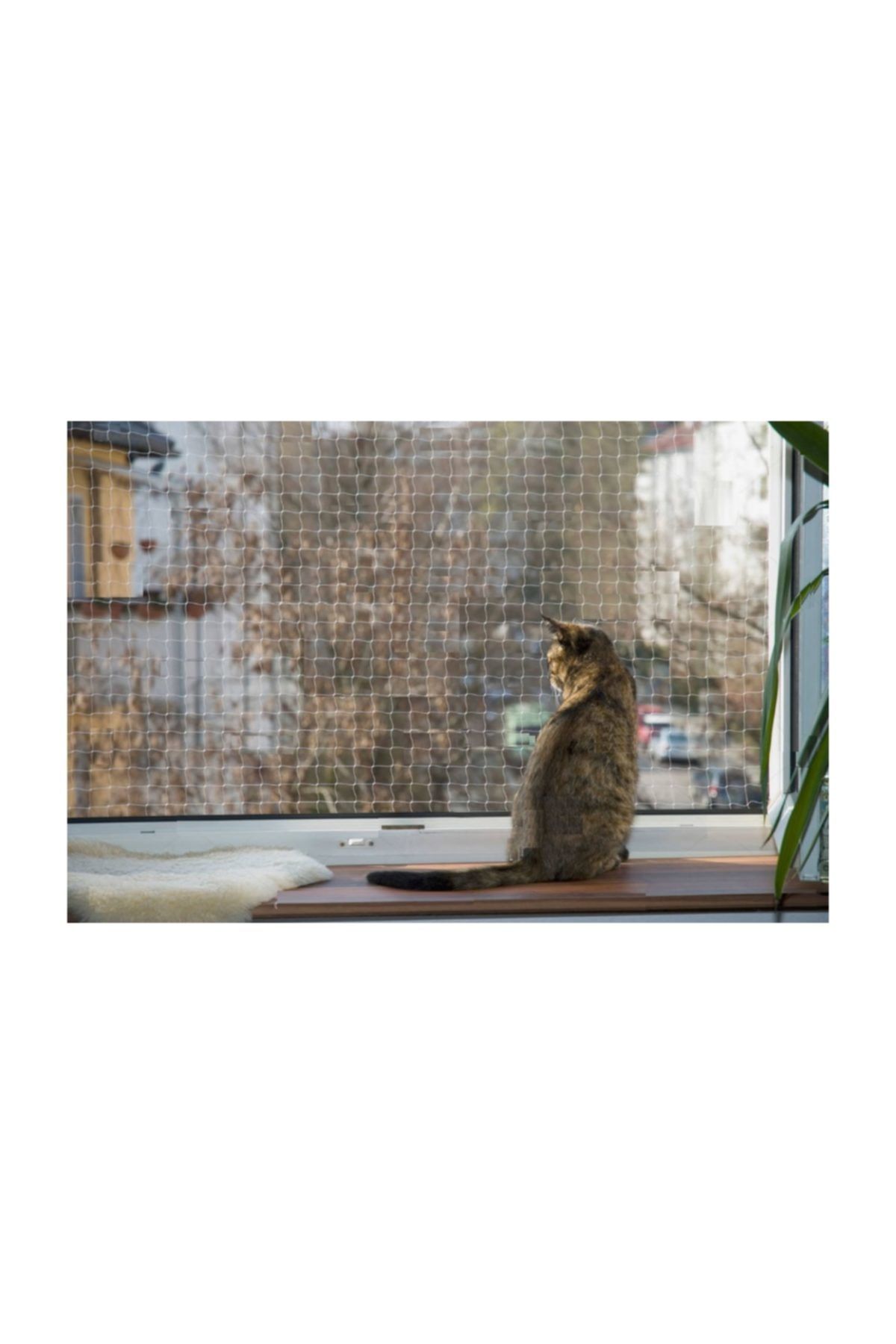 Kare Safety Kedi Balkon Ve Pencere Emniyet Koruma Filesi 3,00 mt X 0,75 mt