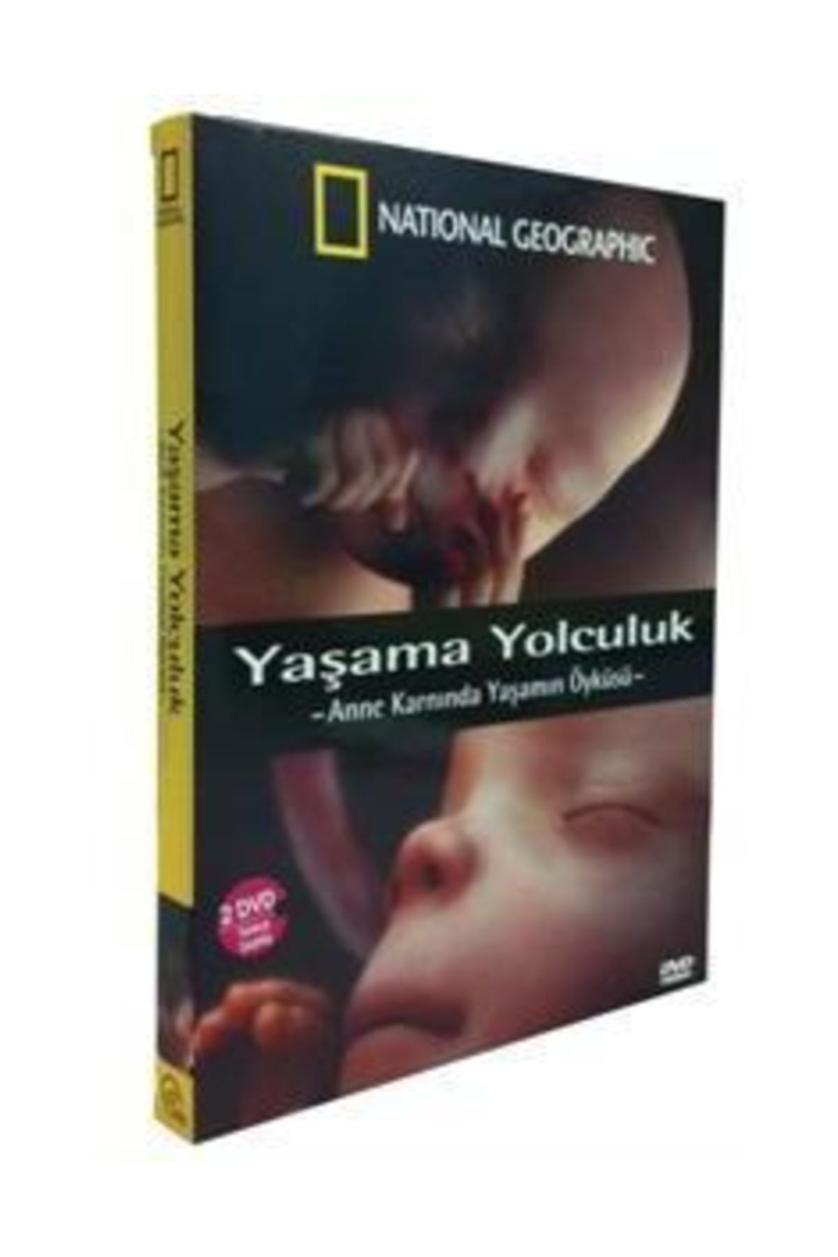 A.E Dvd N.g Yaşama Yolculuk