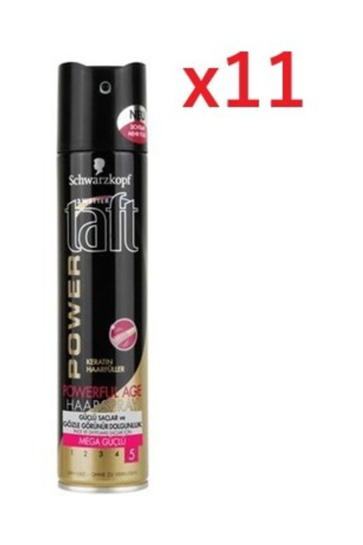 Taft Power Age Saç Spreyi X11