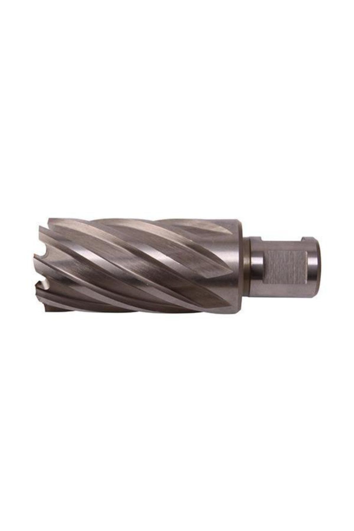 LABOR Ll220500 Manyetik Matkap Uç Hss 22x50 mm