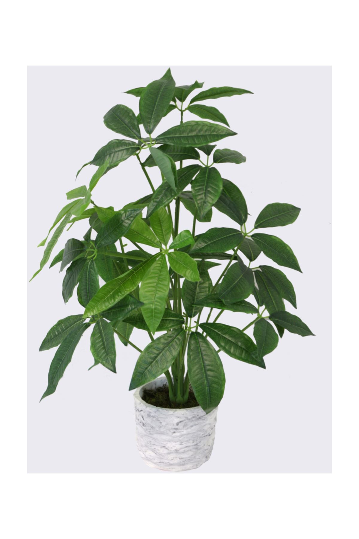 Yapay Çiçek Deposu Handmade Beton Saksıda Yapay 18 Dallı Rubber Tree Bitkisi 70cm