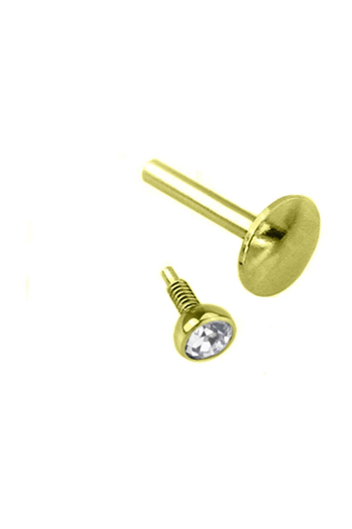 Cadının Dükkanı Cerrahi Çelik Taşlı Nokta Kulak-dudak-burun Piercing (bar  10 mm)