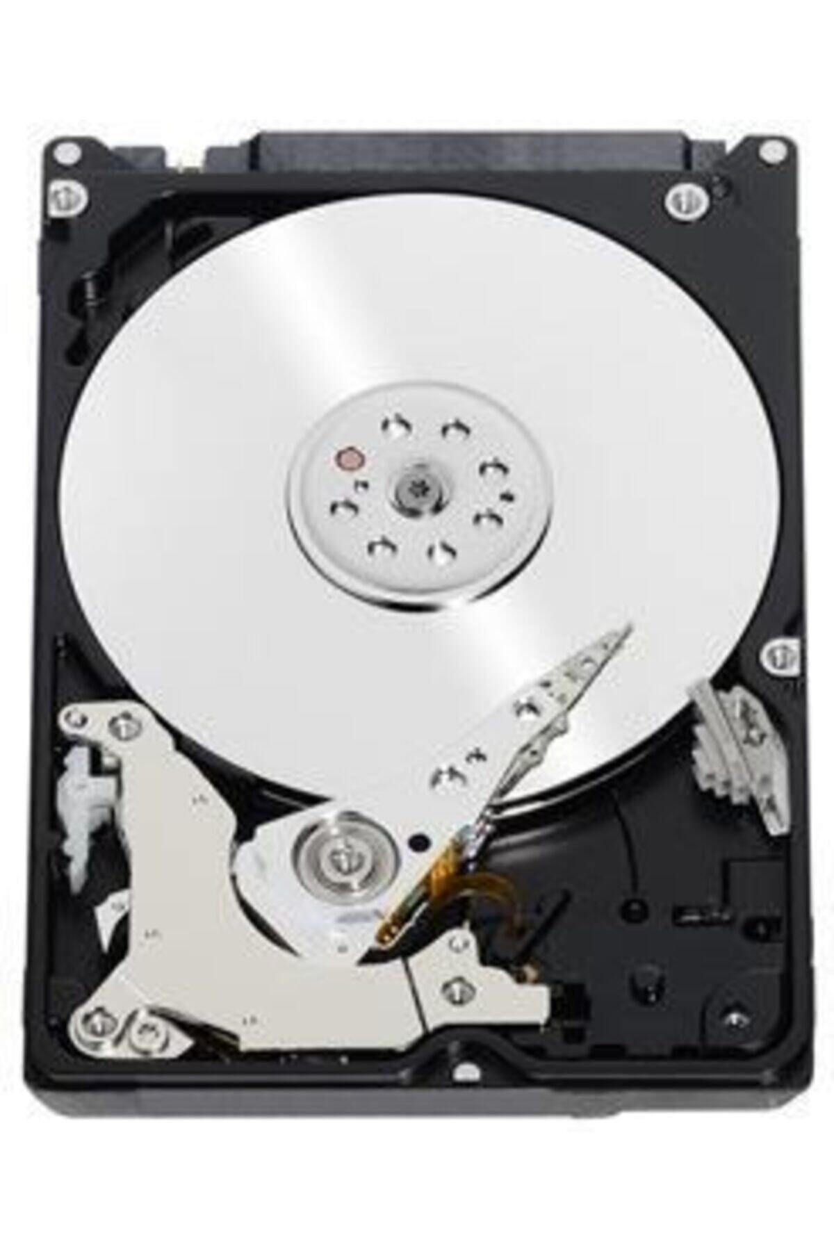 MoBilisim Technology 160 Gb Seagate Harddisk Güvenlik 3.5''