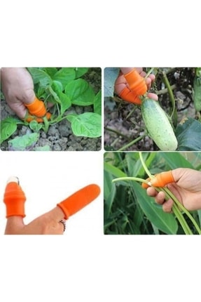 Pratik Baş Parmak Koruyucu Eldiven Sebze Meyve Soyucu Kesme Ayıklayıcı Silikon Aparat Image 6