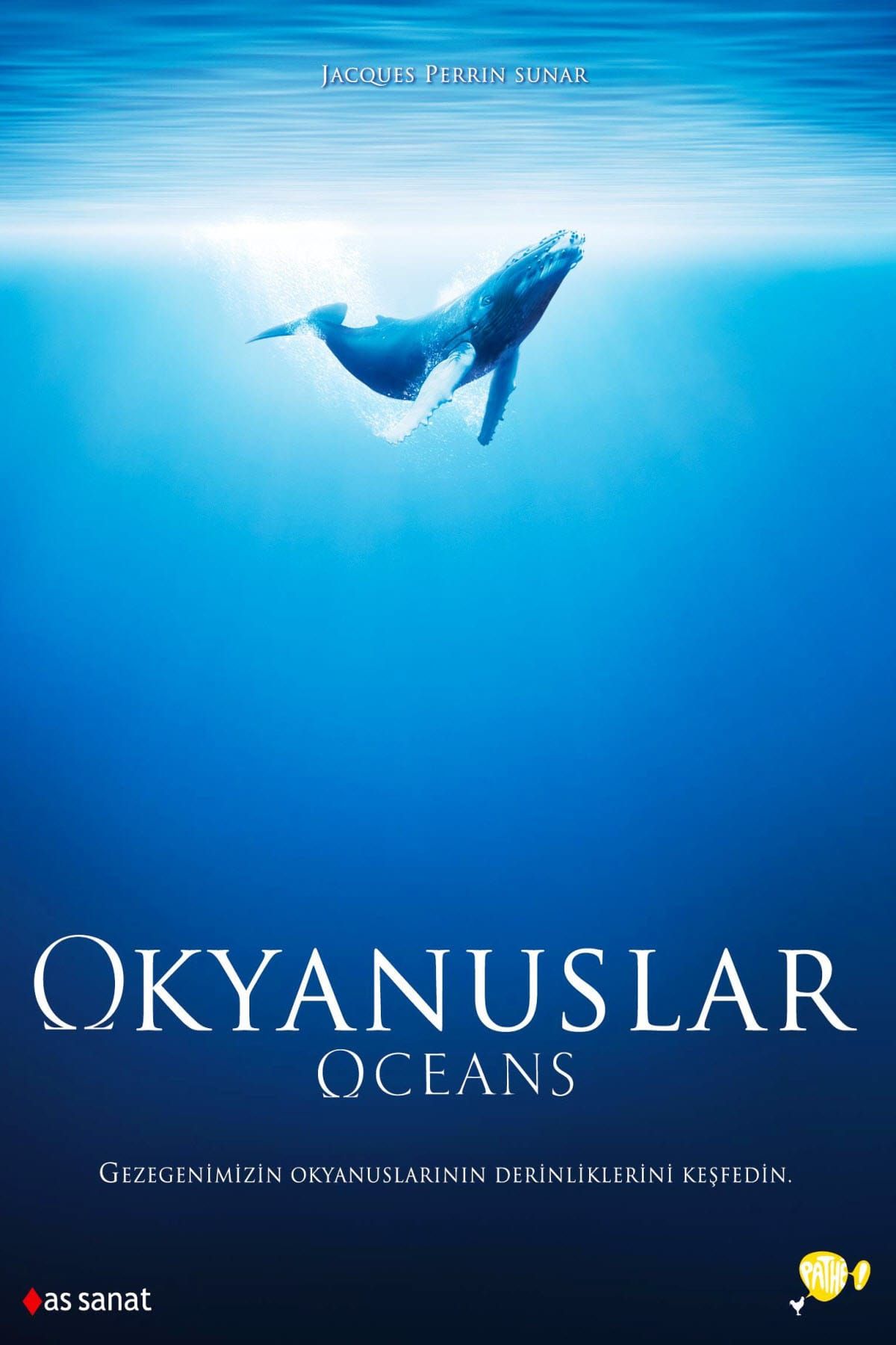 Pal DVD-Okyanuslar