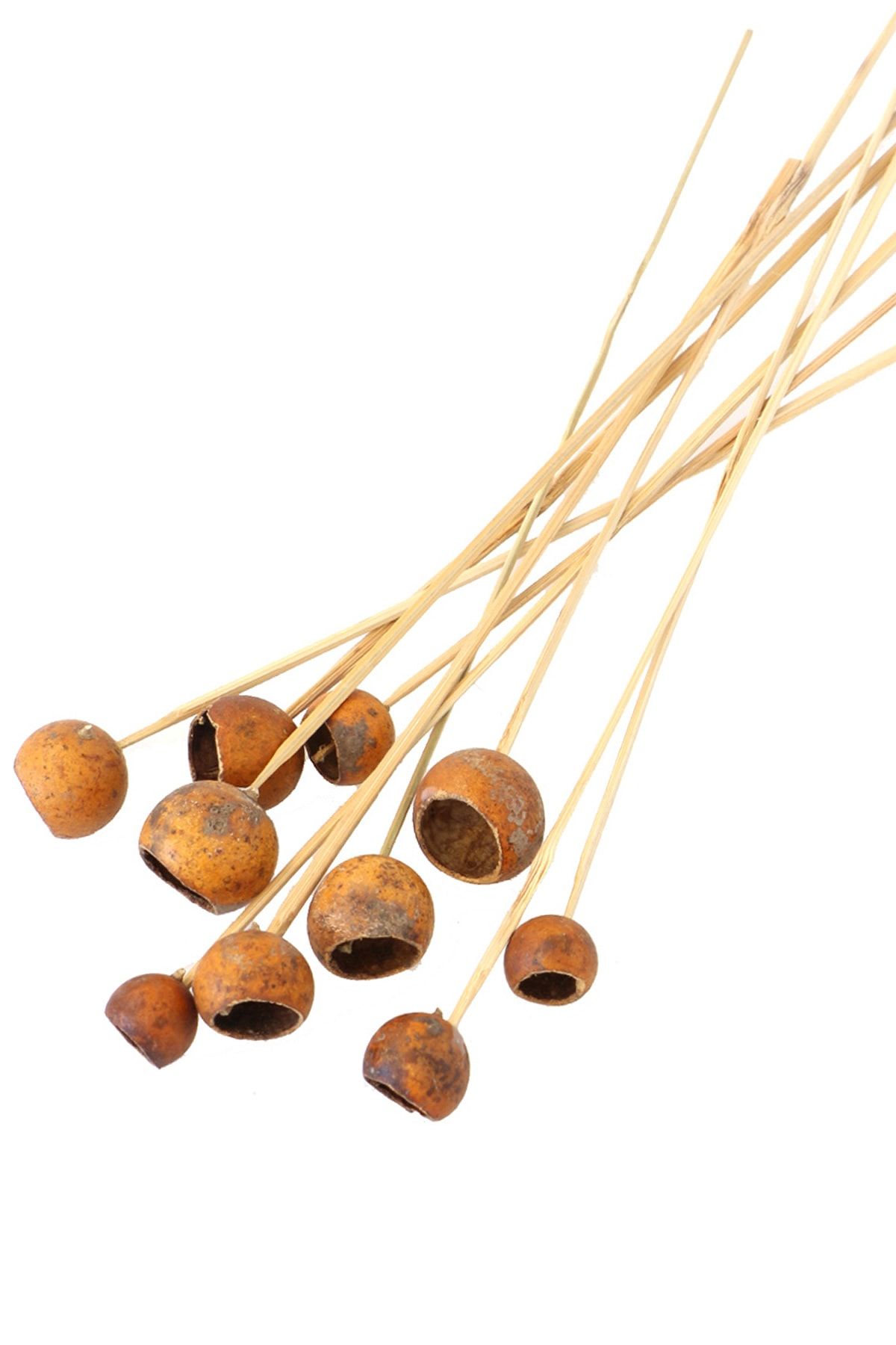 Yapay Çiçek Deposu Dekoratif Küçük Golden Pod 10Lu Tropic Kabak