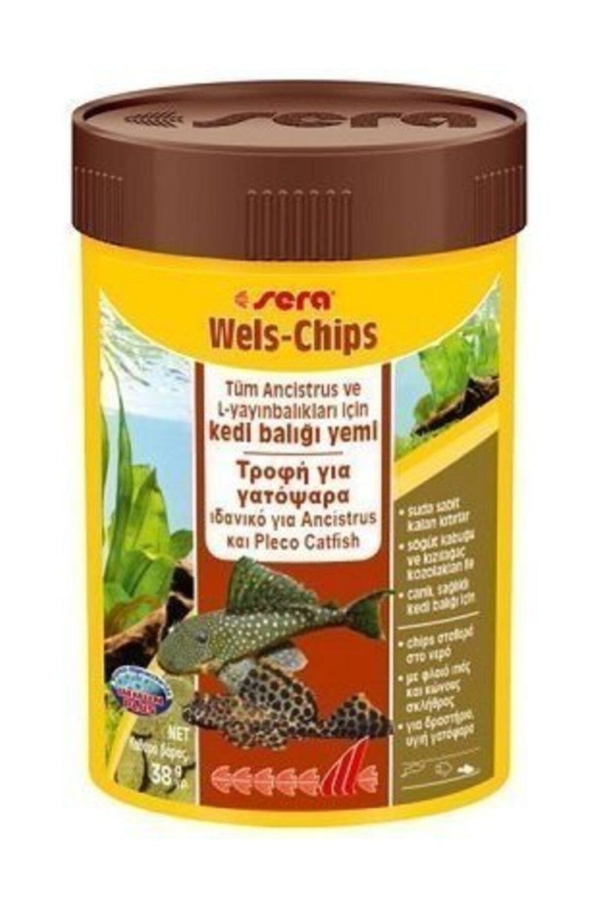SERA Wels-chips Akvaryum Balik Yemi 100 Ml  38 Gr
