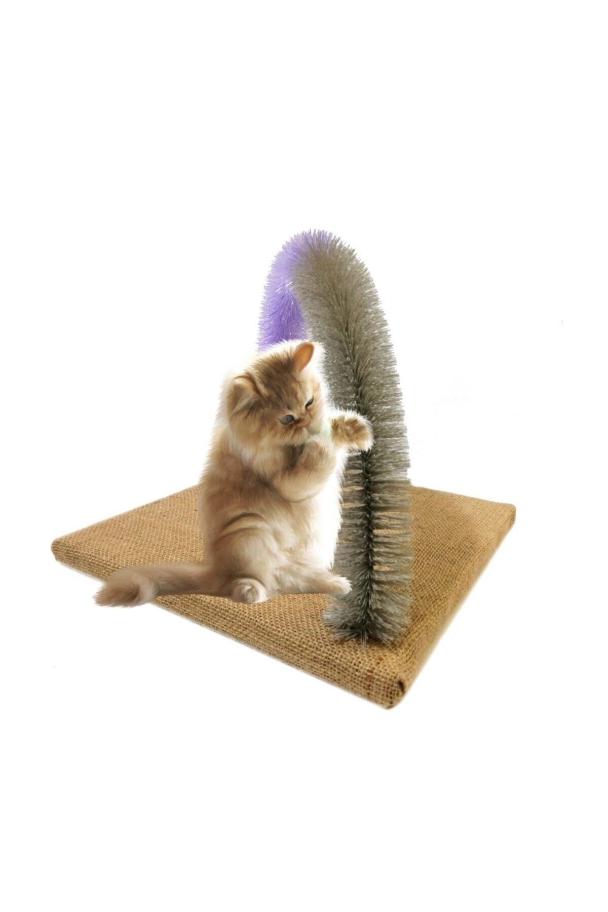 BYPET Kedi Kaşınma Tırmalama Tahtası