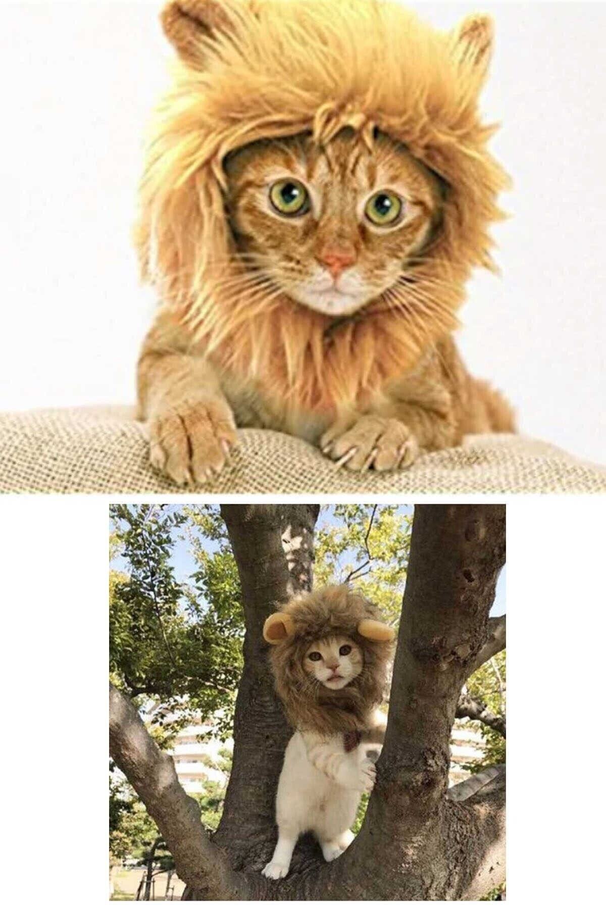 Markafox Kedi Peruğu Aslan Yelesi Kep Maskot Kostüm Pet Şapka