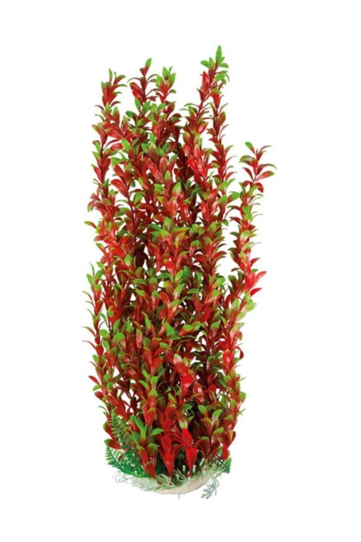 Chicos 037651 Plastık Bıtkı 60-65 Cm