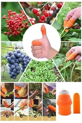 Pratik Baş Parmak Koruyucu Eldiven Sebze Meyve Soyucu Kesme Ayıklayıcı Silikon Aparat Image 3