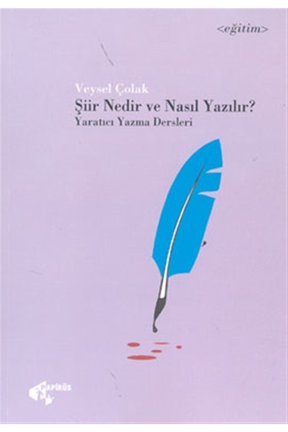 papirus yayinevi siir nedir ve nasil yazilir yaratici yazma dersleri fiyati yorumlari trendyol