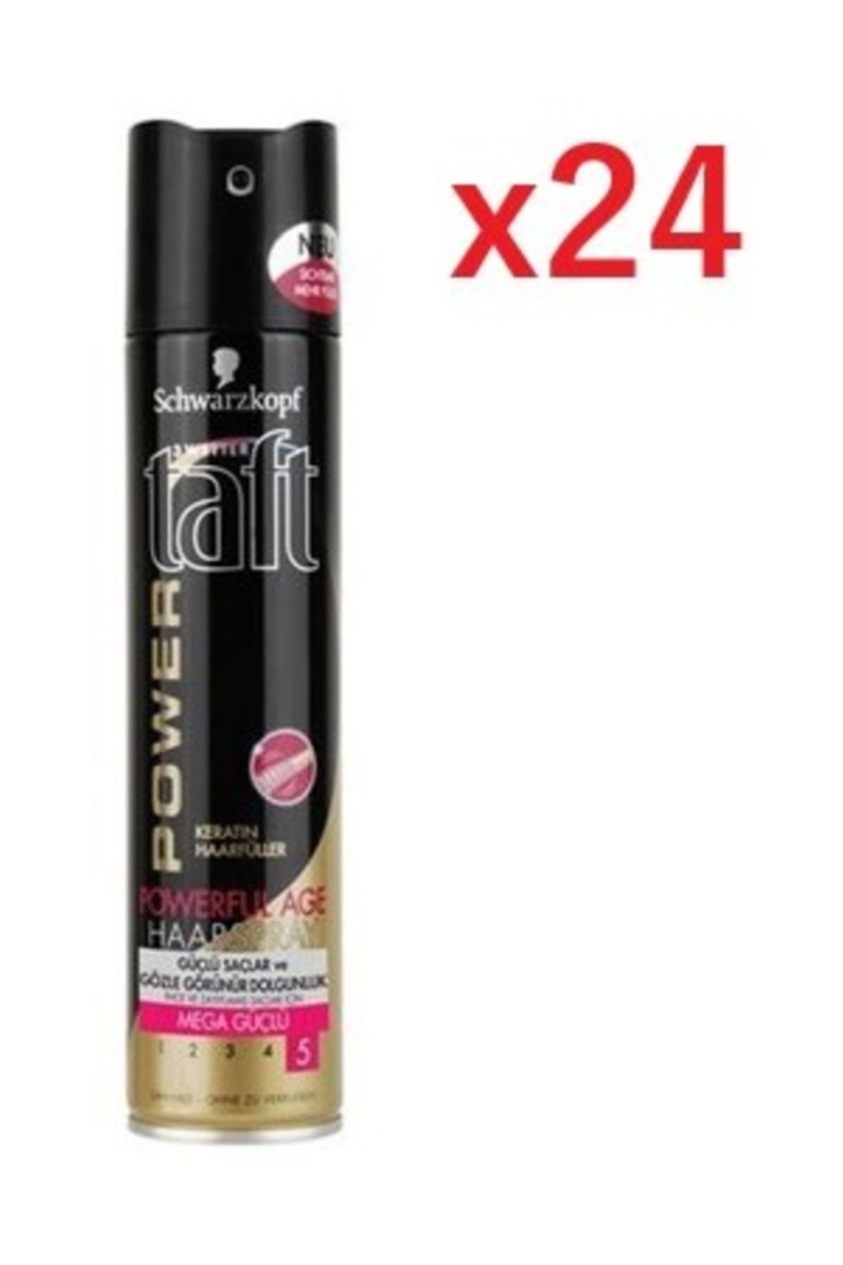 Taft Power Age Saç Spreyi X24