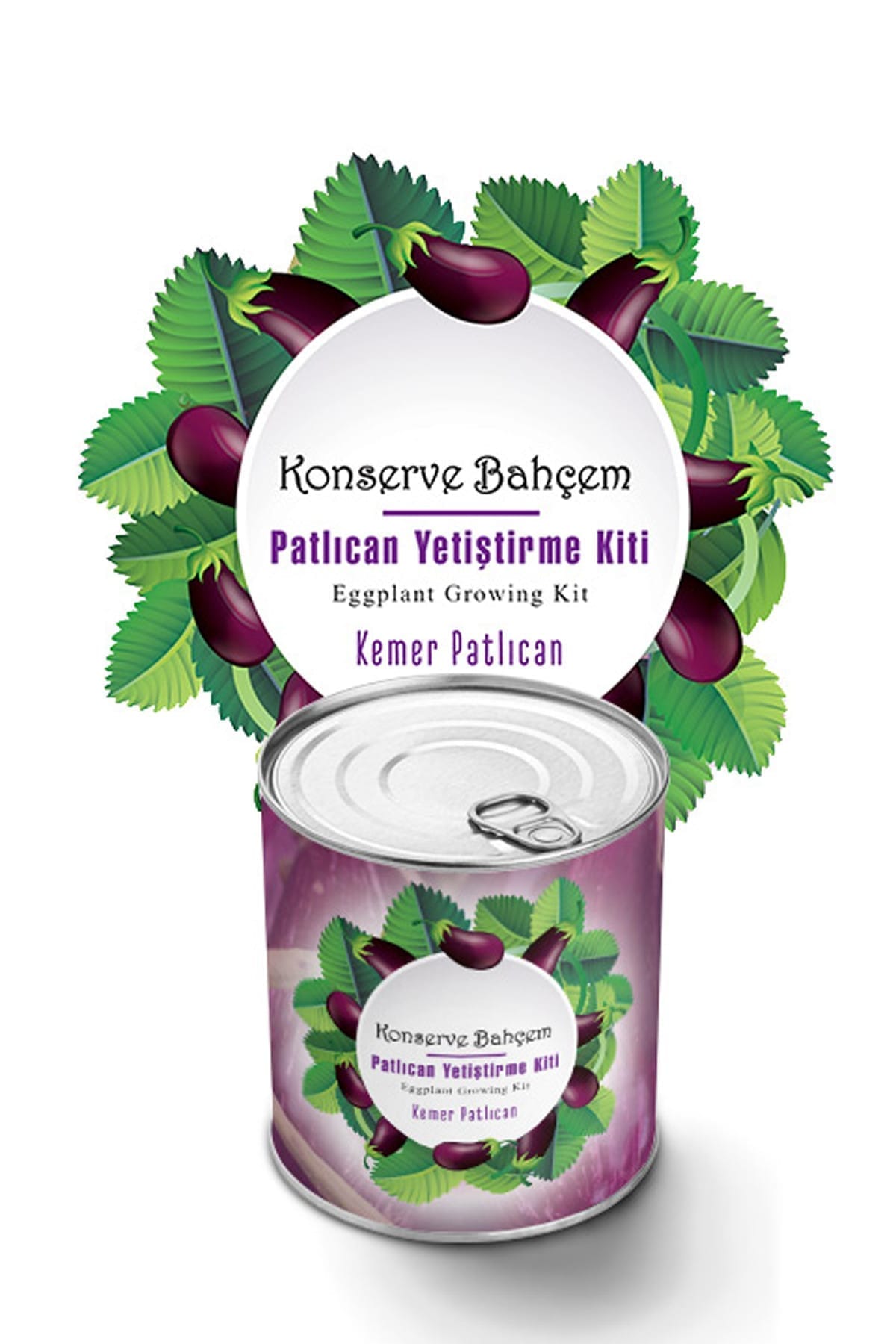 Buffer Konserve Bahçem Patlıcan Yetiştirme Kiti