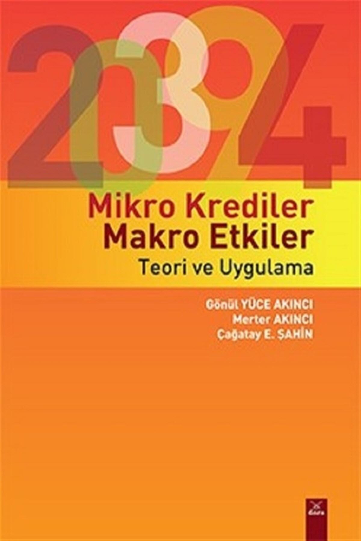 Dora Basım Yayın Mikro Krediler Makro Etkiler - Teori ve Uygulama
