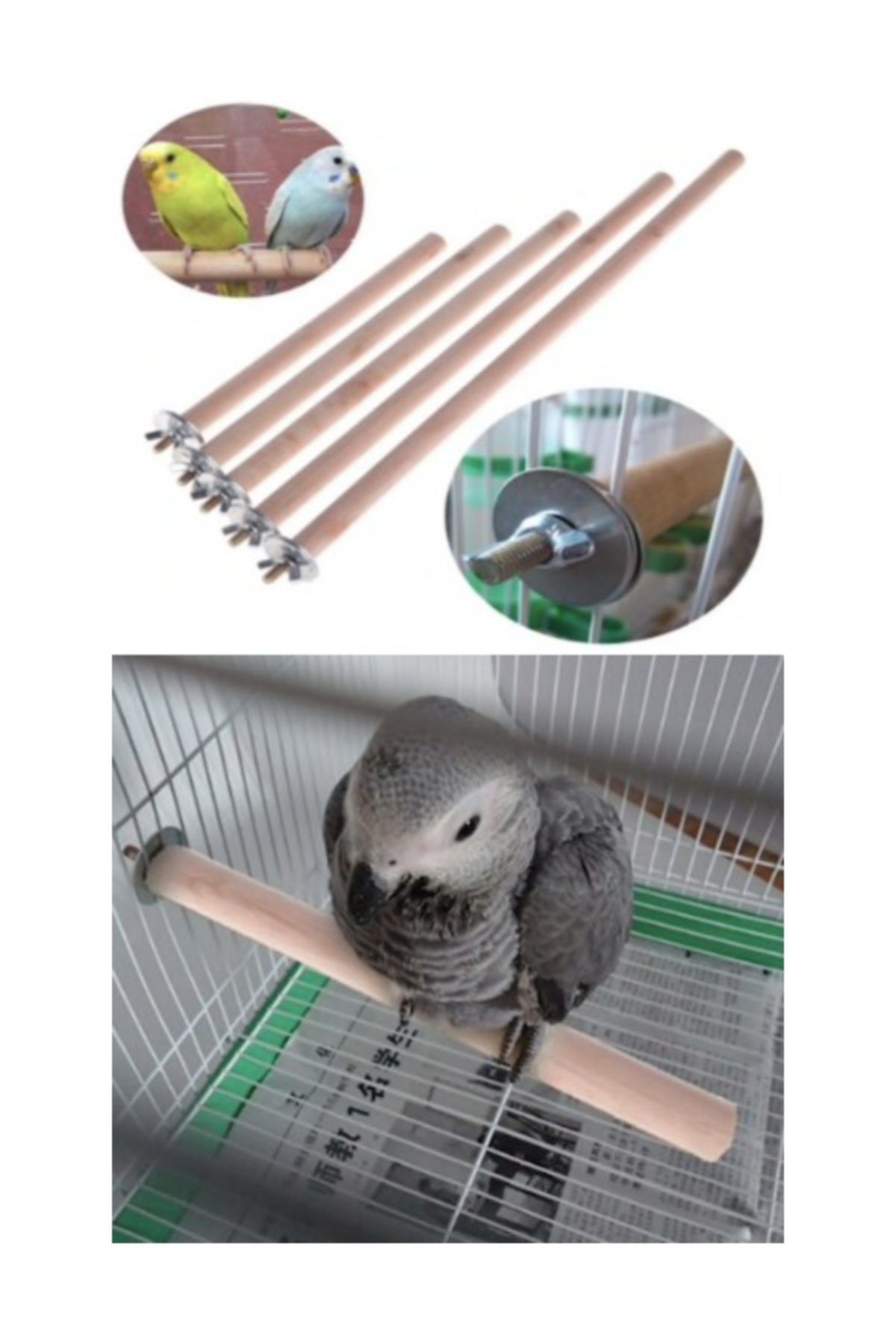 Lilabebe Kuş Papağan Tüneği 5li Set