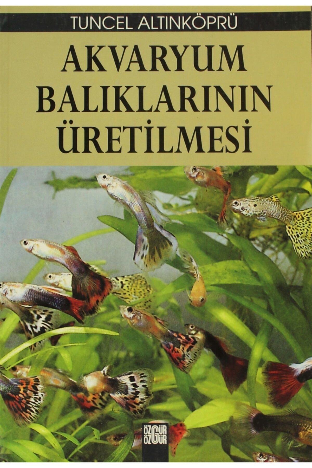 Özgür Yayınları Akvaryum Balıklarının Üretilmesi