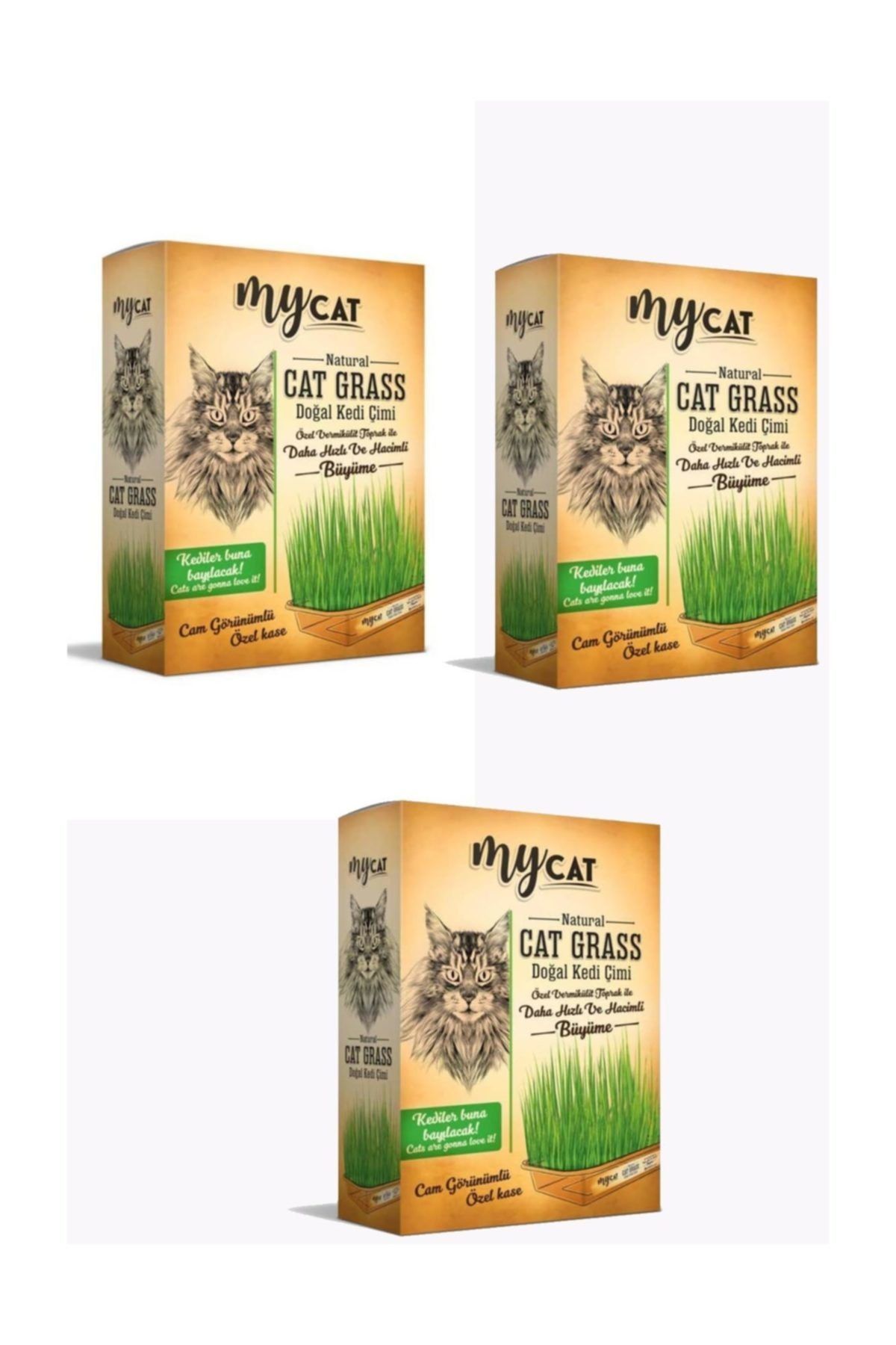 My Cat Mycat Doğal Kedi Çimi 3'lü