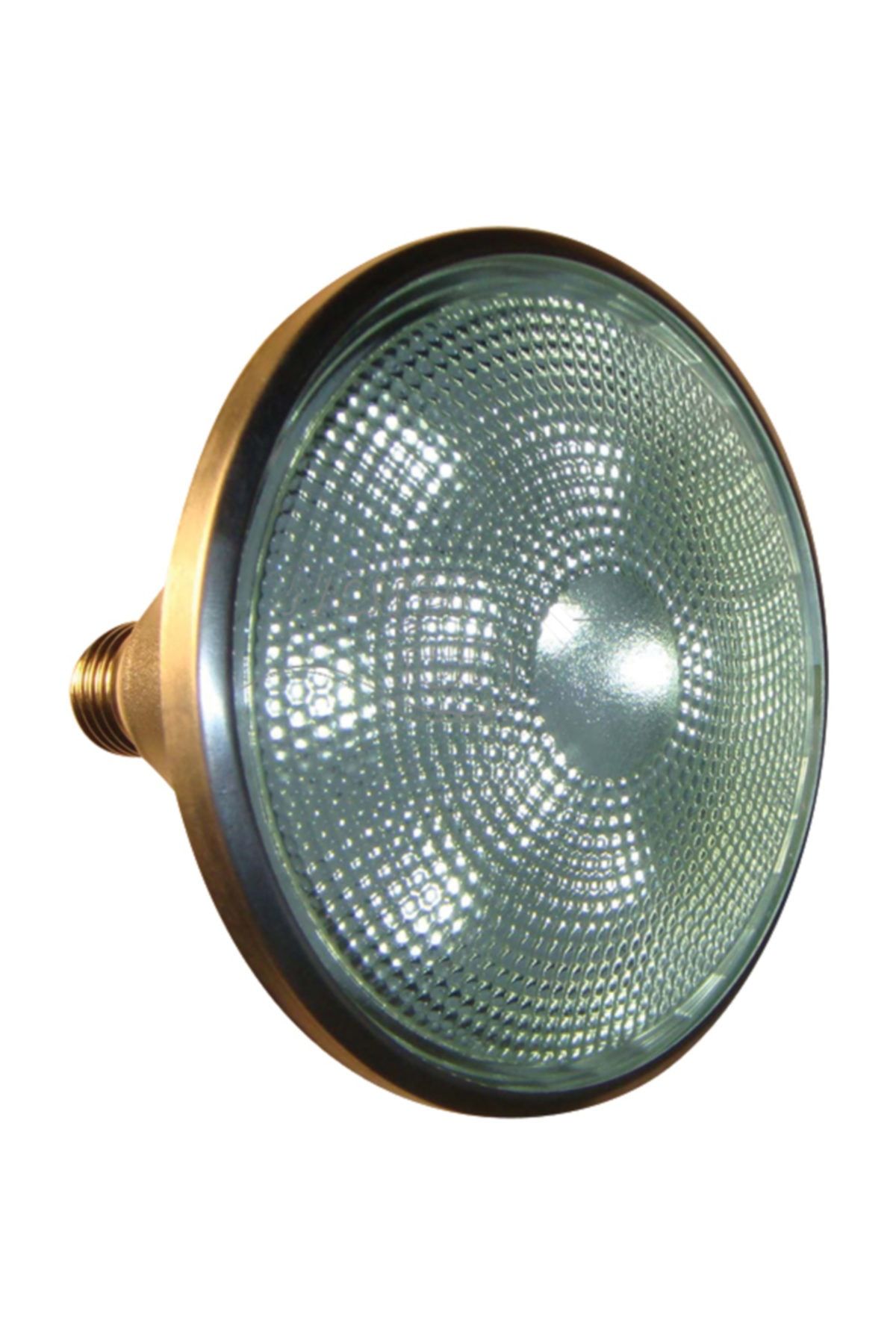 Waterfun Ampul Par38 Büyük Led Buzbeyaz Alüm.kasa 9w/24v