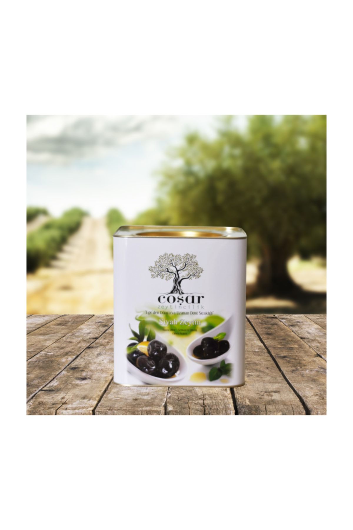 Coşar Zeytin Gemlik Yağlı Sele 291-320 (s) 5 kg Siyah Zeytin