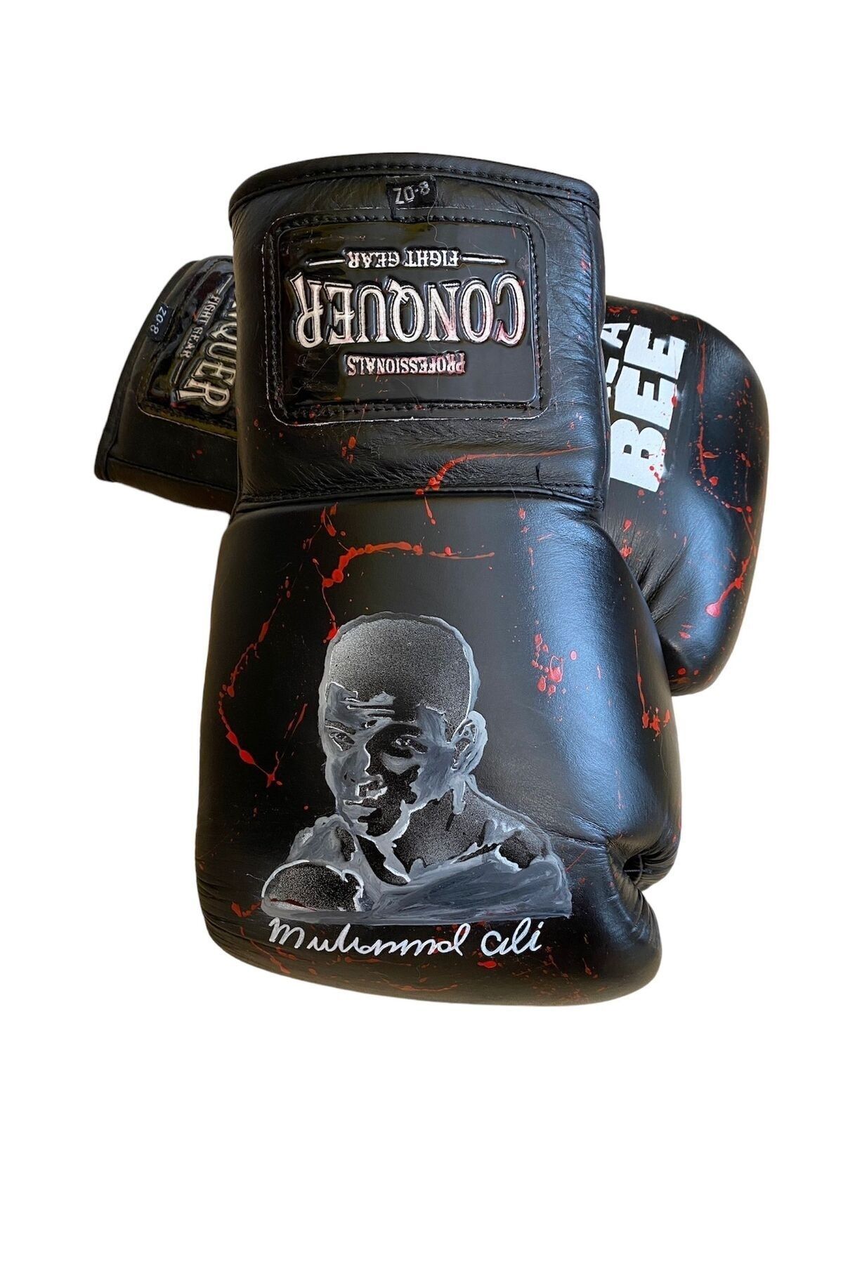 Ali 2025 fight gear
