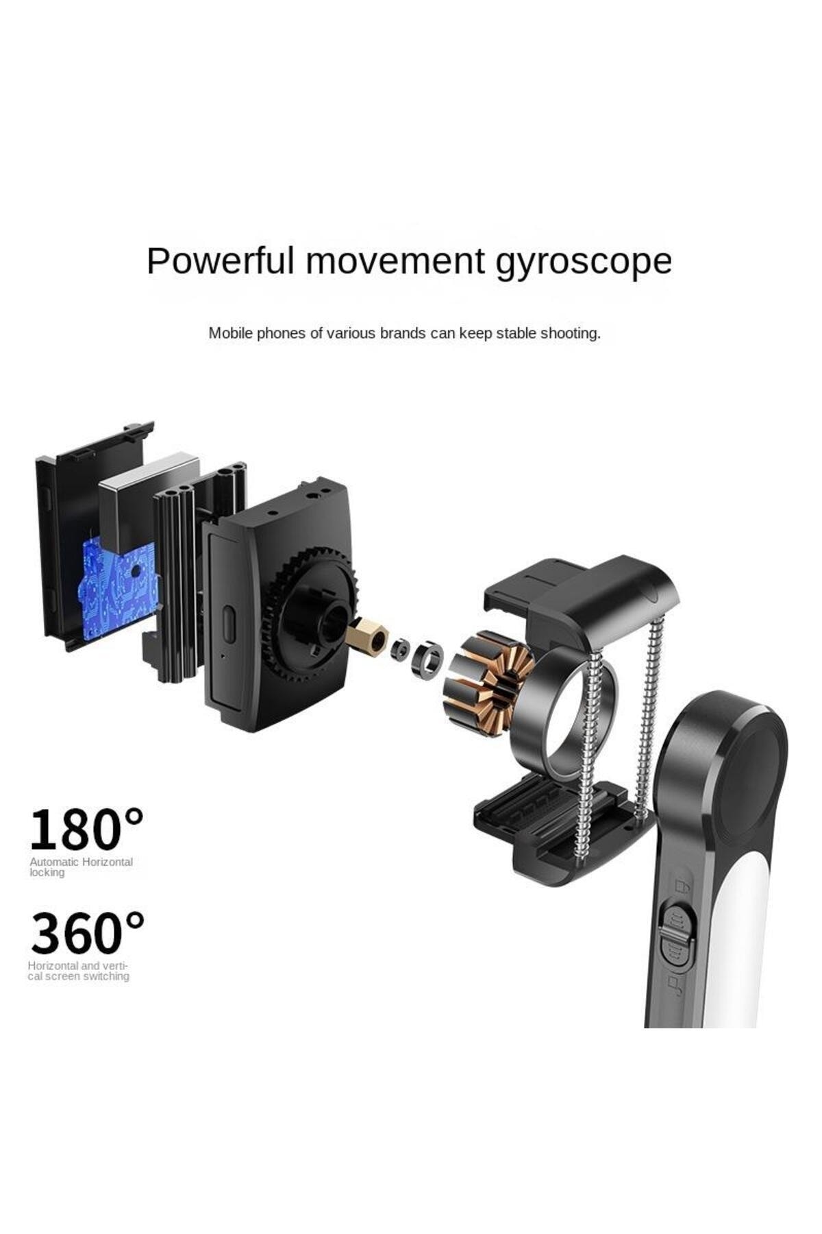 5_org_zoom.jpg