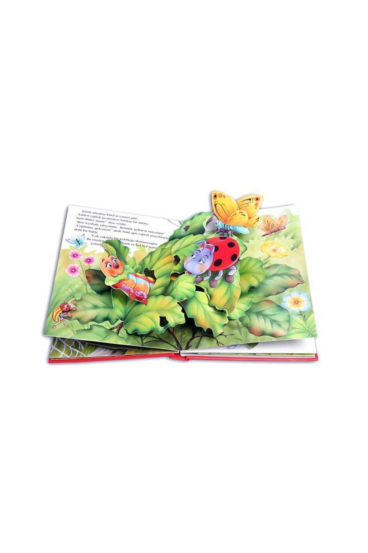 Abc Yayınları Şanslı Uğur Böceği 9786054197286