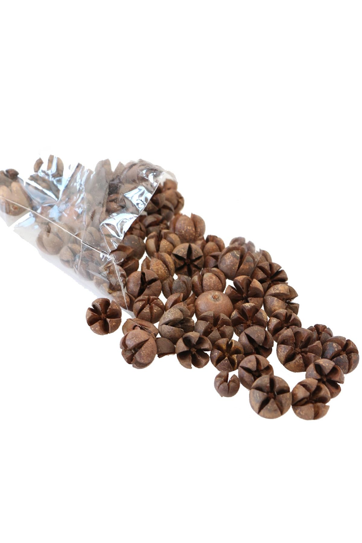 Yapay Çiçek Deposu Tropik Mini Süsleme Eucalyptus Pod 100Gr