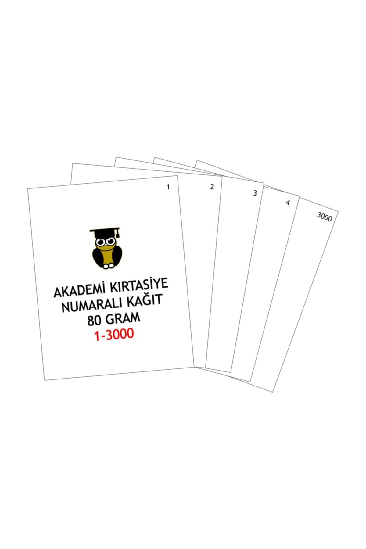NAVİGATÖR Akademi A4 Dikey 80gr Numaralı Kağıt (01-3000)