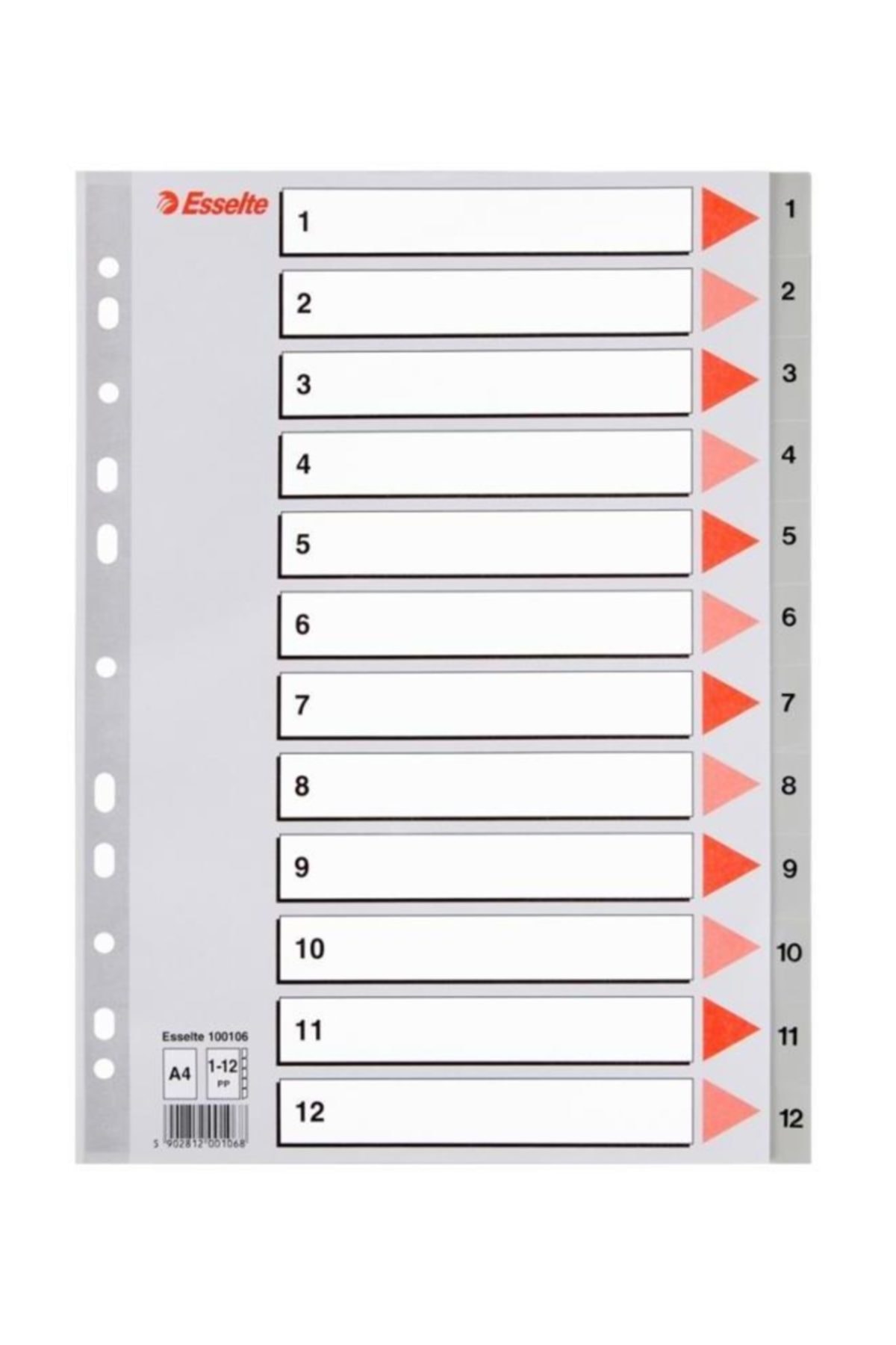 Esselte Ayraç A4 1-20 Rakam