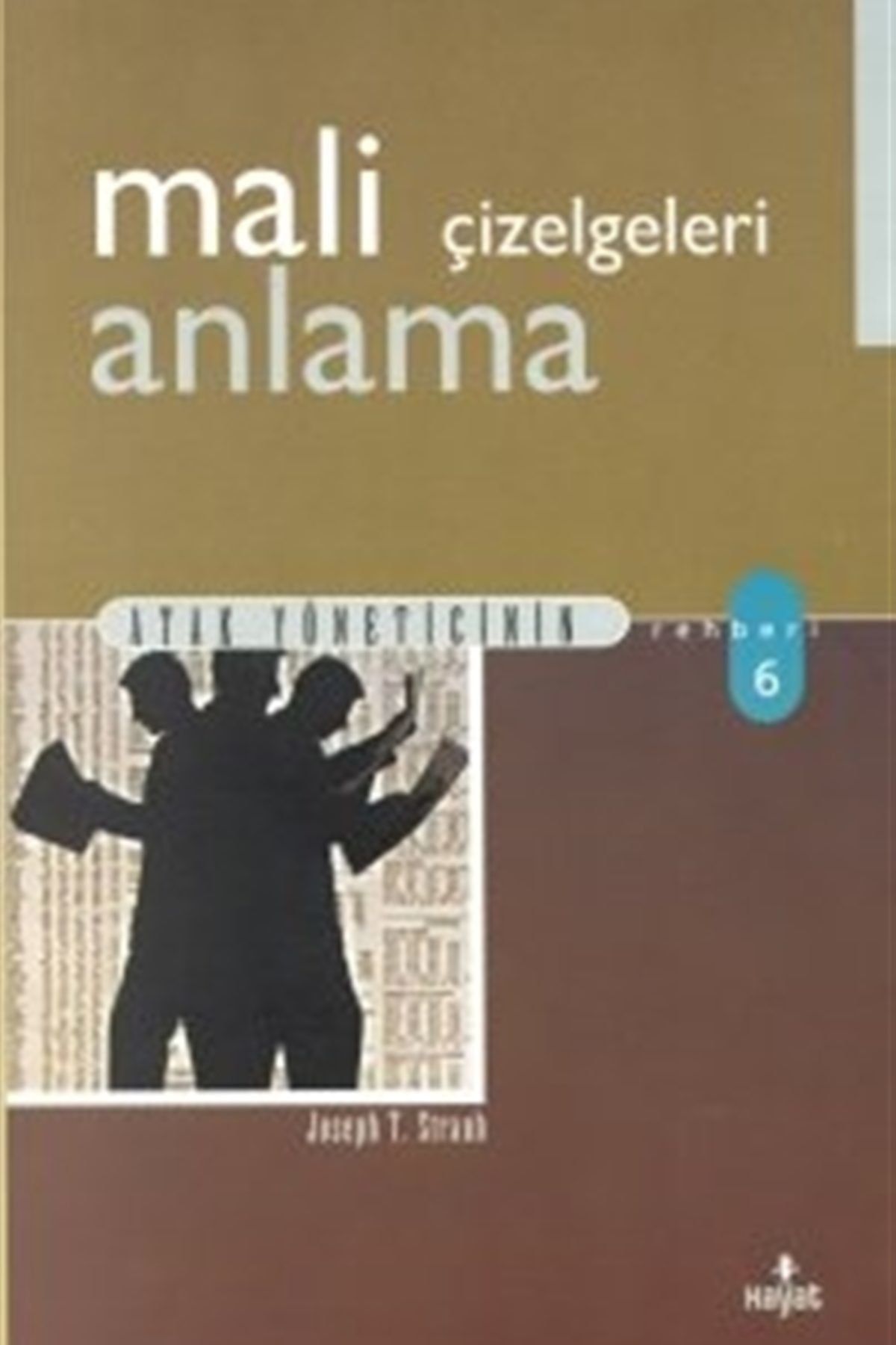 Hayat Yayınları Mali Çizelgeleri Anlama