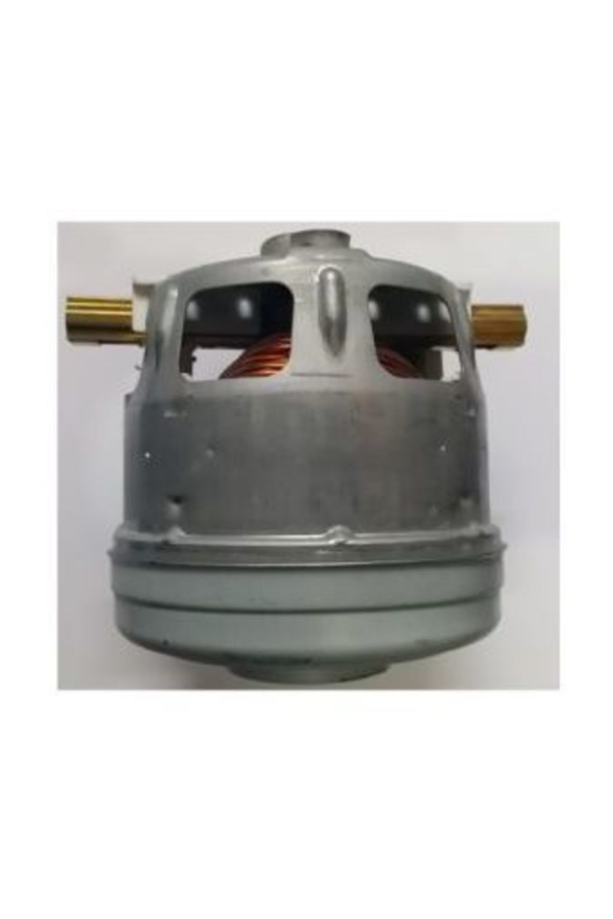 Bosch Süpürge Motoru